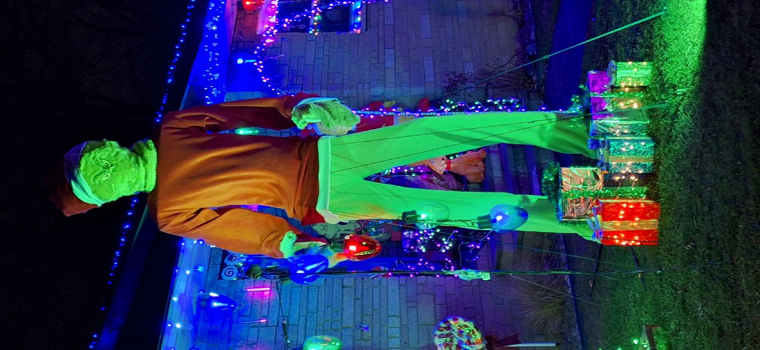 Lights on avon, Christmas lights in Salina, NY (photo 3)