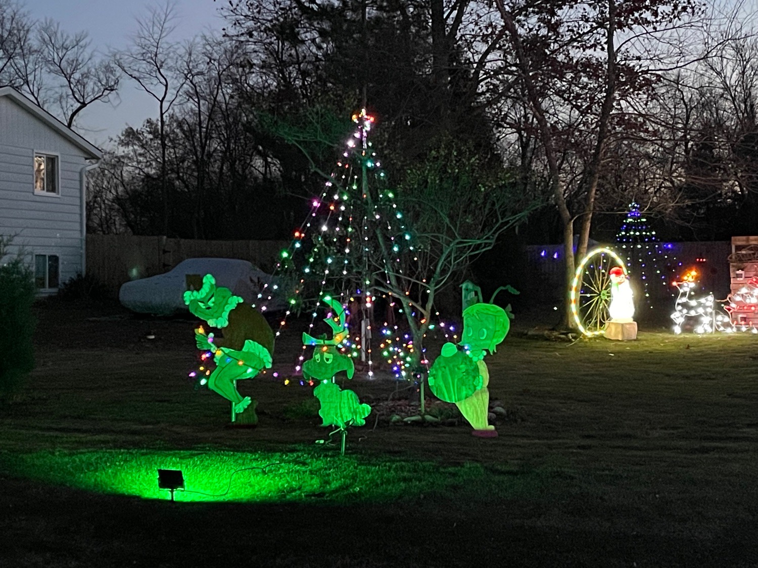 Ollie Christmas, Christmas lights in Wauconda, IL (photo 2)