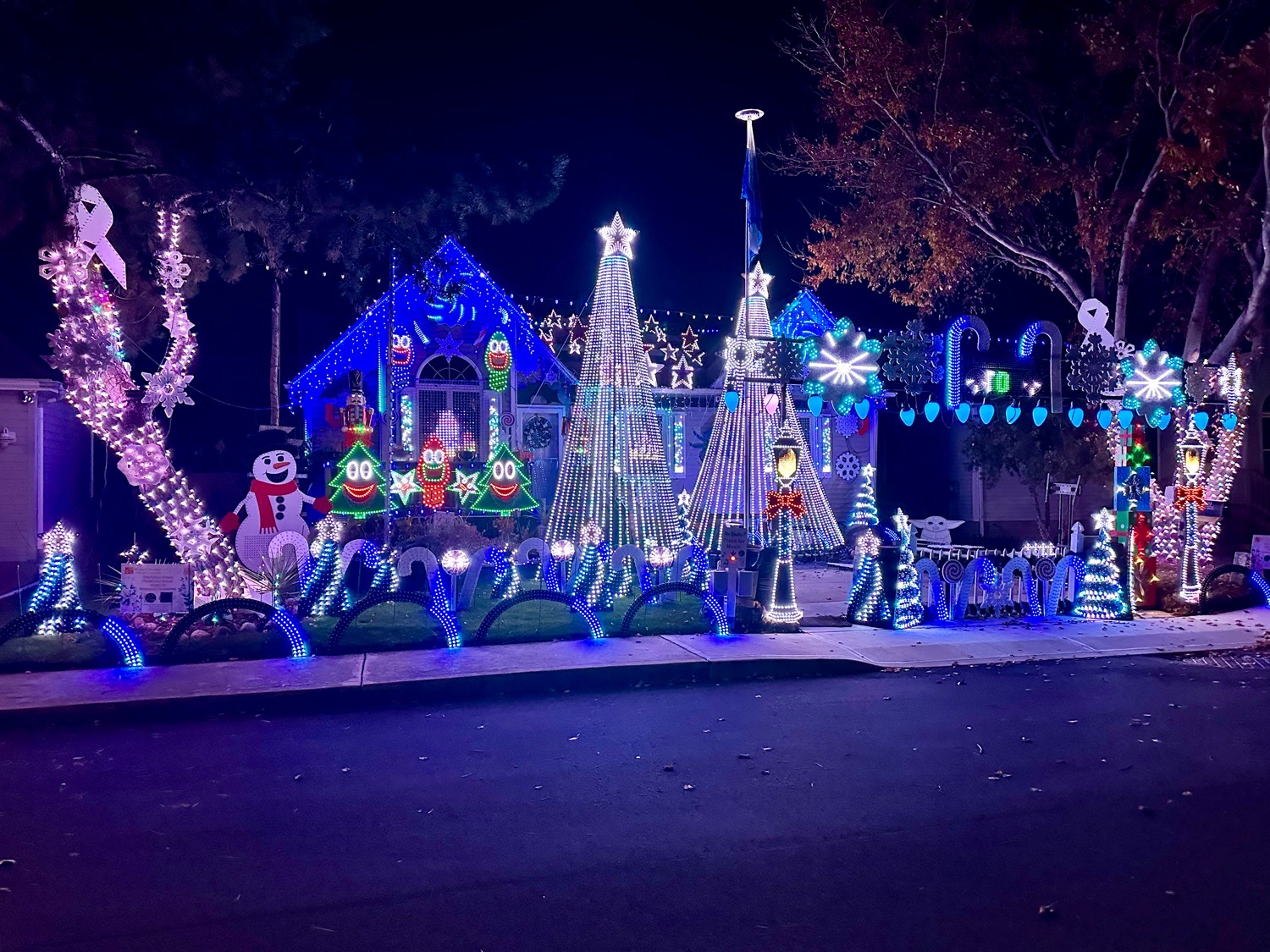 Caine Woods Christmas House, Christmas lights in Ocean City, MD (photo 1)