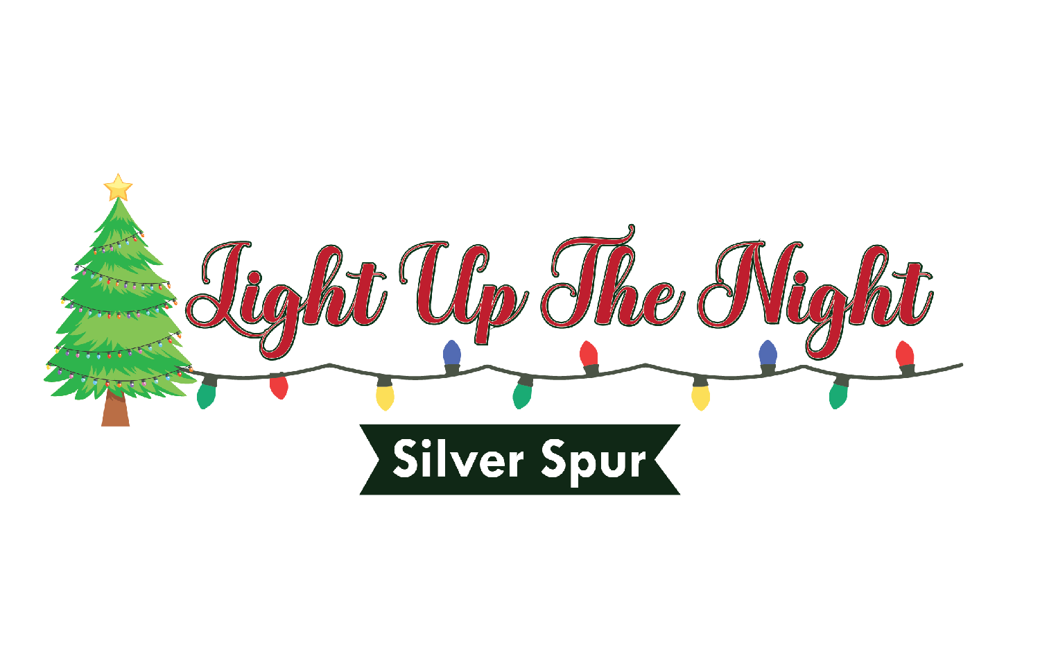 Light Up the Night-Silver Spur, Christmas lights in York, PA (photo 1)