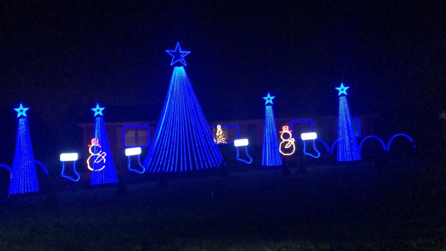 Lights for a Cure, Christmas lights in Middletown, DE (photo 1)