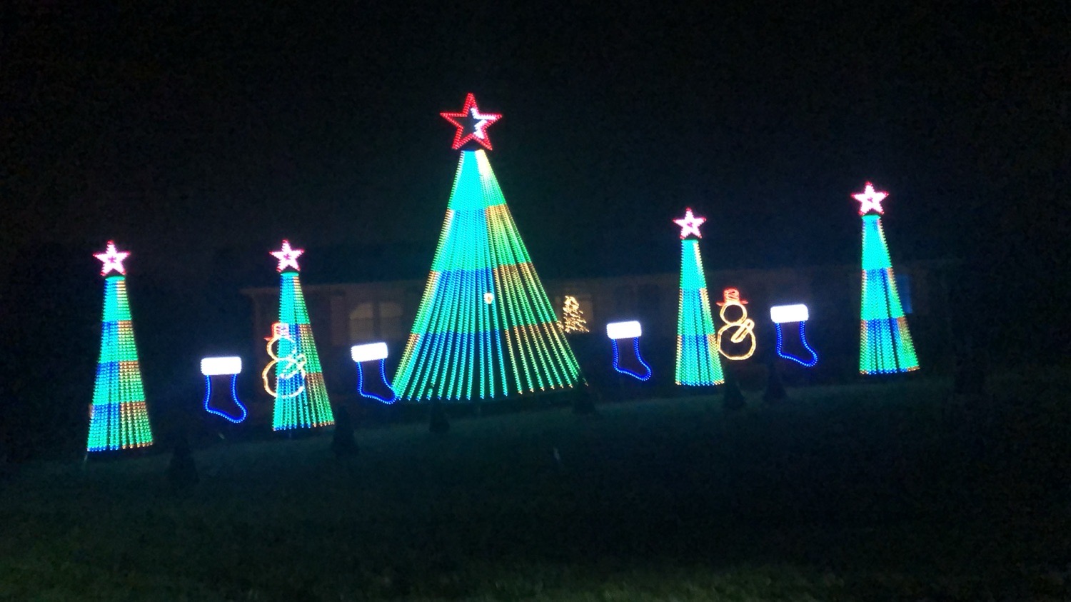 Lights for a Cure, Christmas lights in Middletown, DE (photo 2)