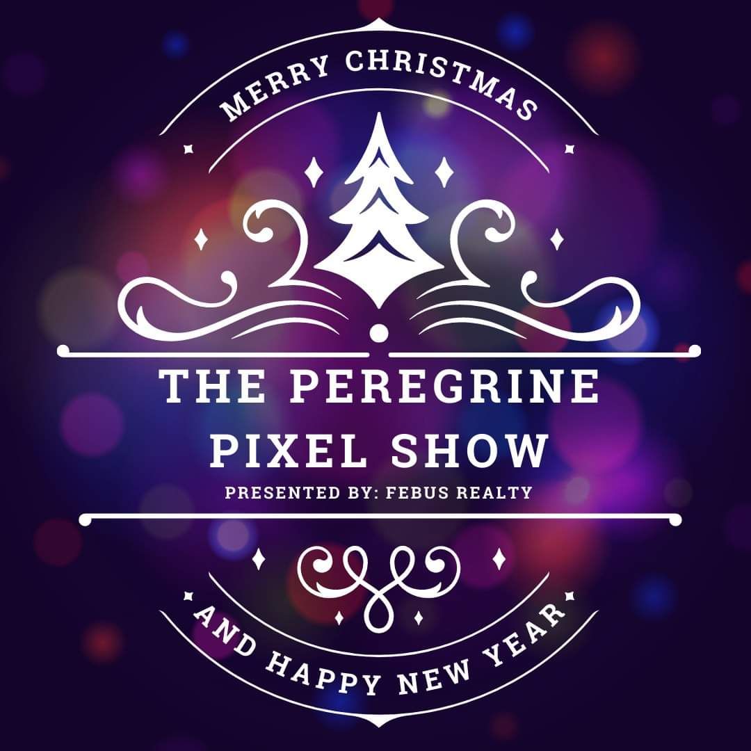 The Peregrine Pixel Show, Christmas lights in Middleburg, FL (photo 1)