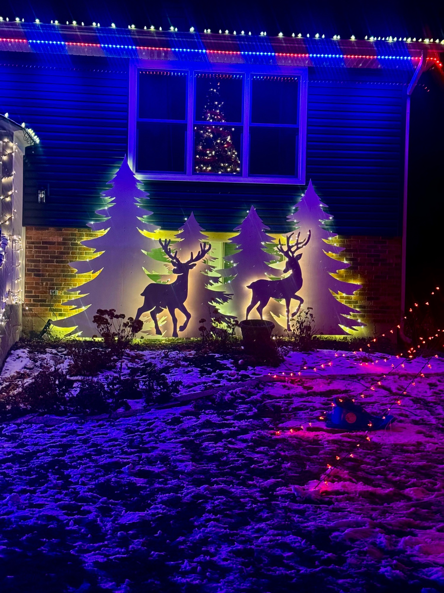 The Grinch is coming, Christmas lights in Bloomingdale, IL (photo 5)