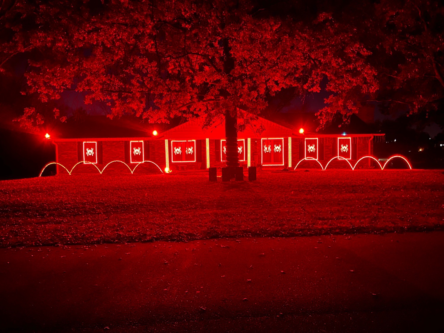 Hidden Lake Lights, Christmas lights in Saint Peters, MO (photo 2)