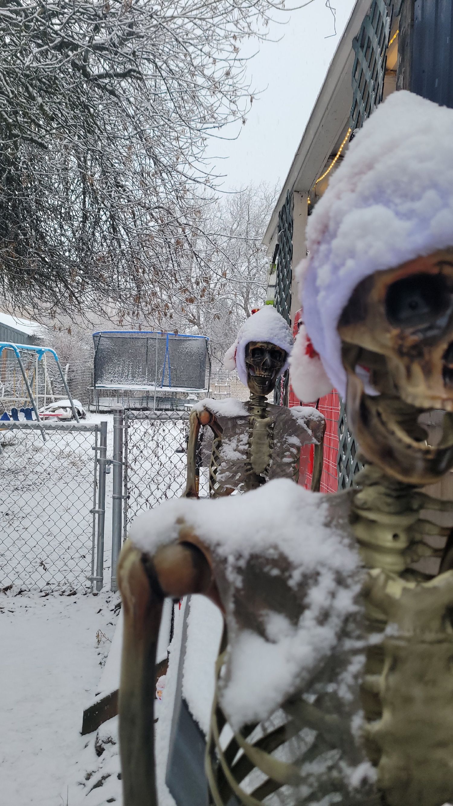 Dr.Feelgoods Wonderland, Christmas lights in Tonasket, WA (photo 4)
