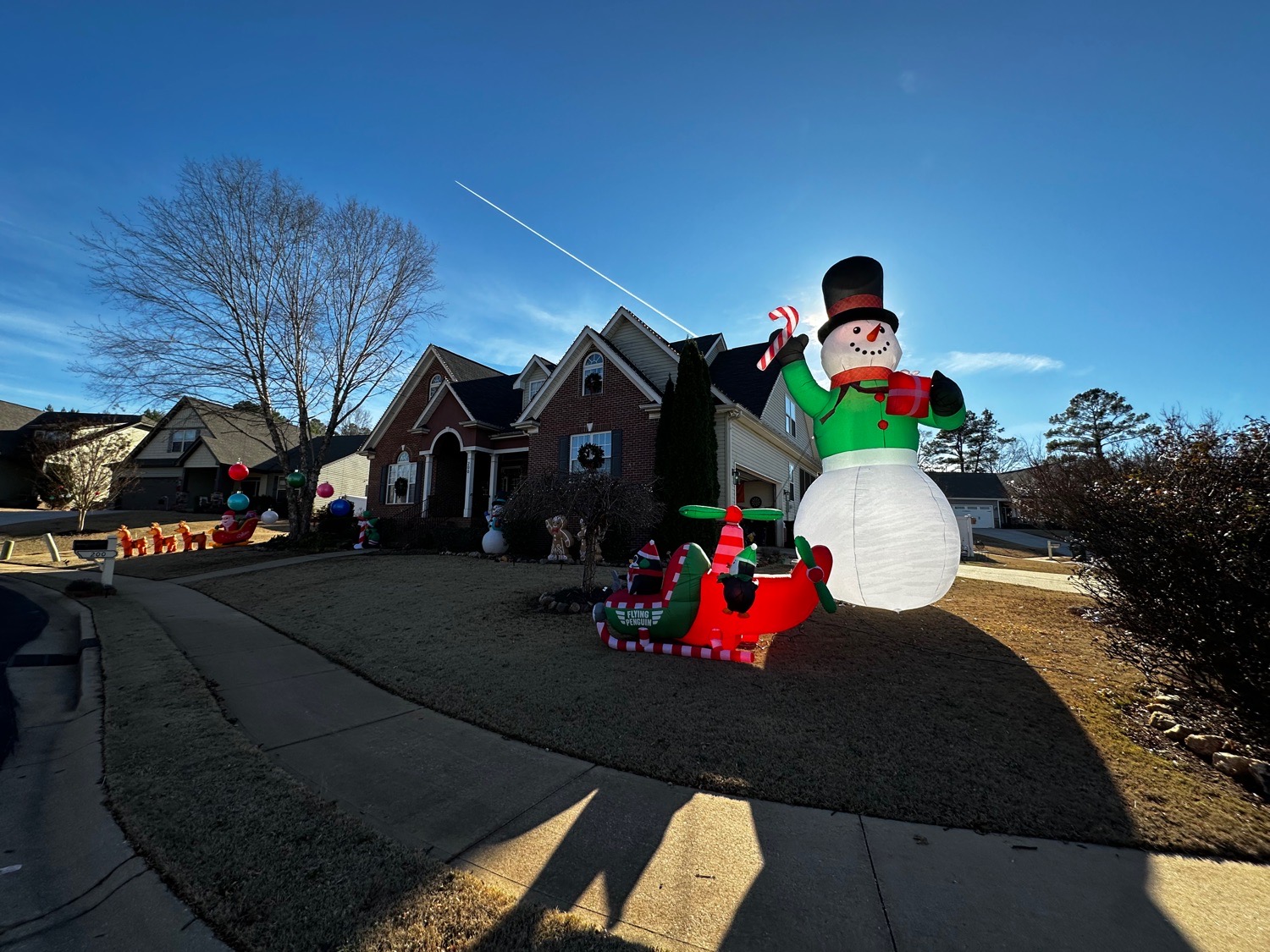 Raush House Holiday, Christmas lights in Taylors, SC (photo 4)