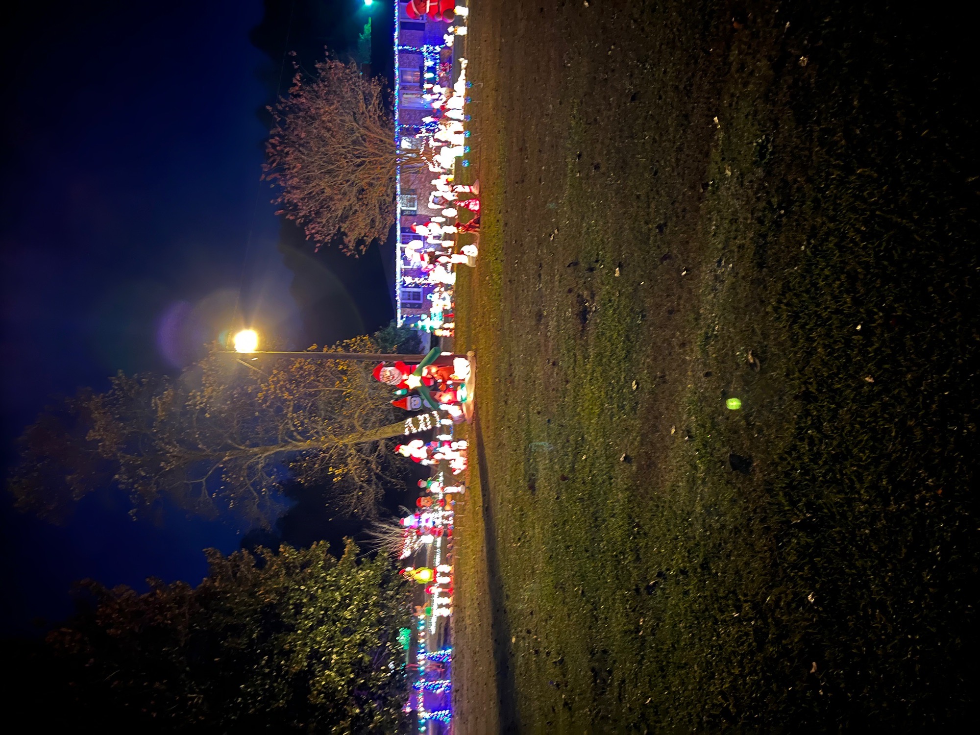 Christmas House, Christmas lights in Batesburg, SC (photo 1)
