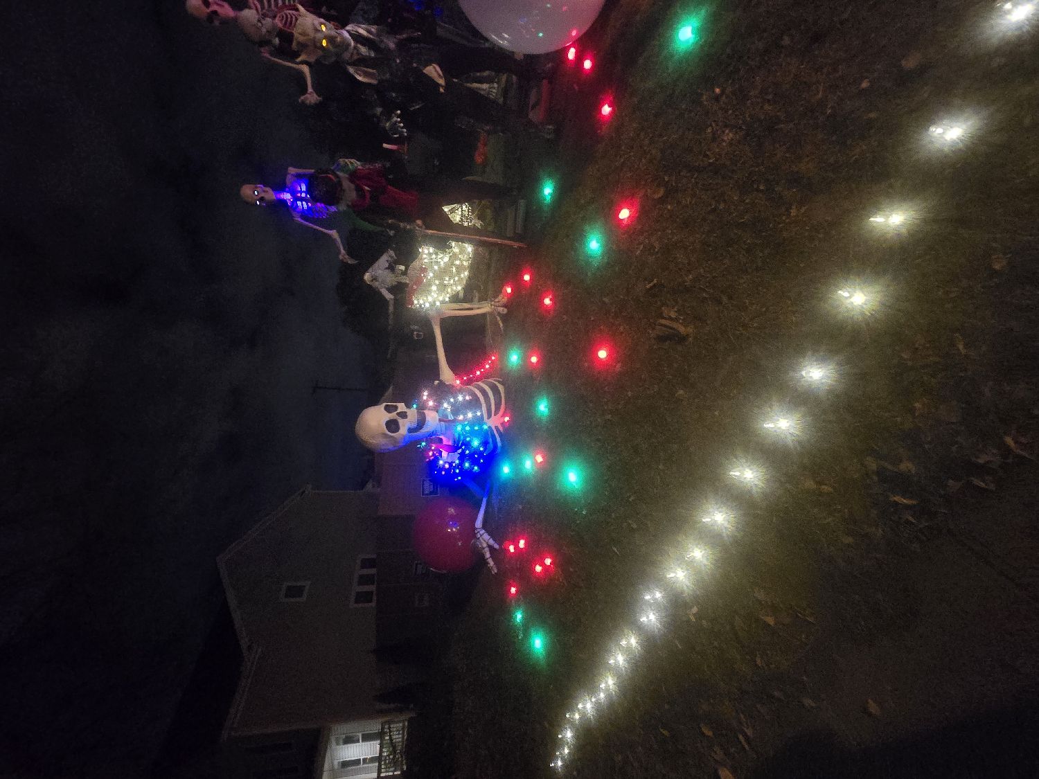 Army of the Christmas Dead, Christmas lights in Columbus, OH (photo 3)