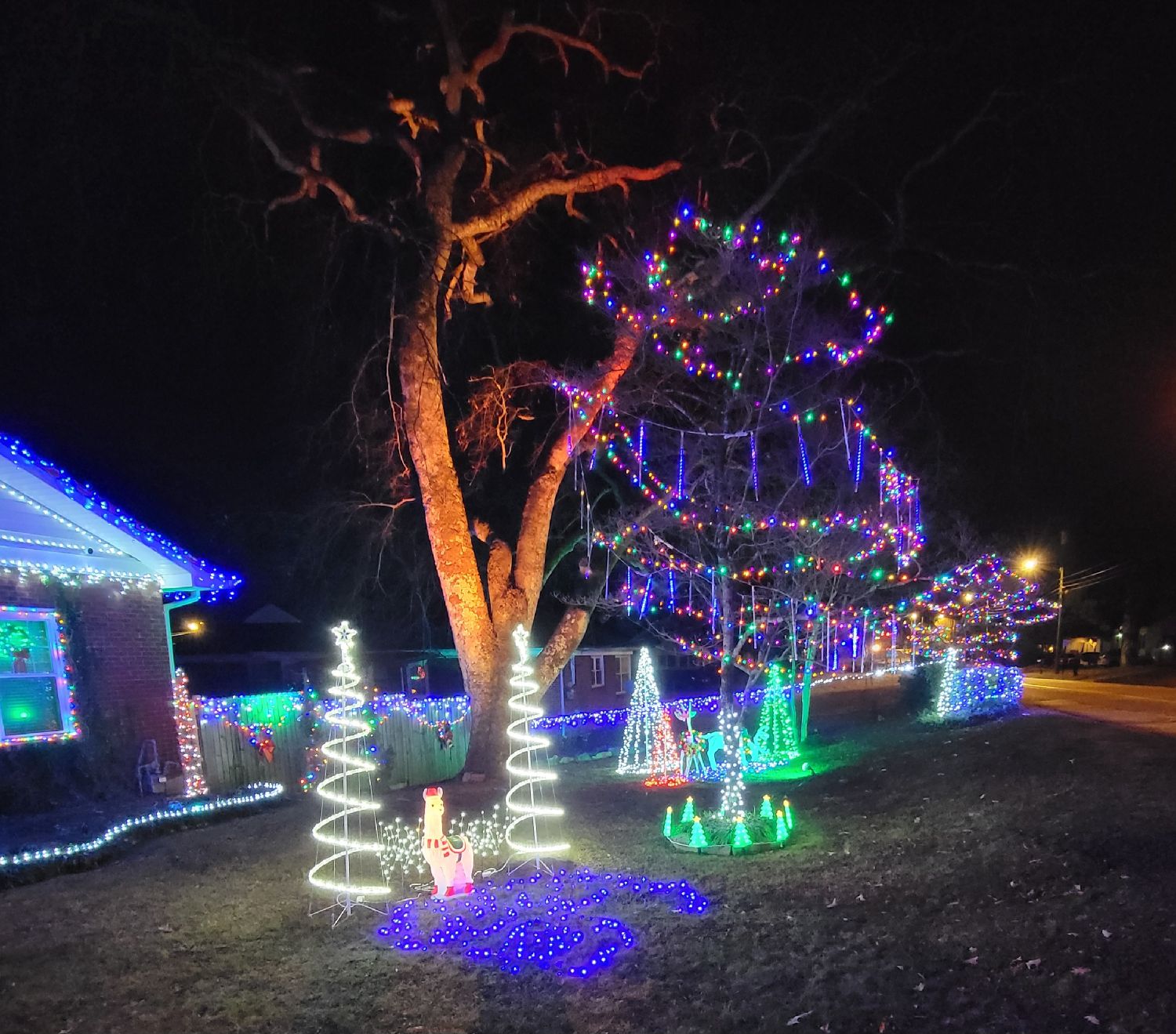 The Carter's Grand Illumination, Christmas lights in Chattanooga, TN (photo 3)