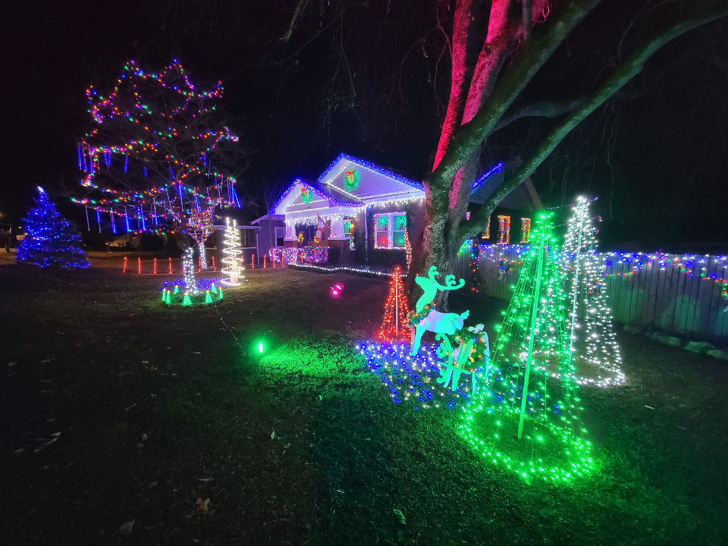 The Carter's Grand Illumination, Christmas lights in Chattanooga, TN (photo 5)