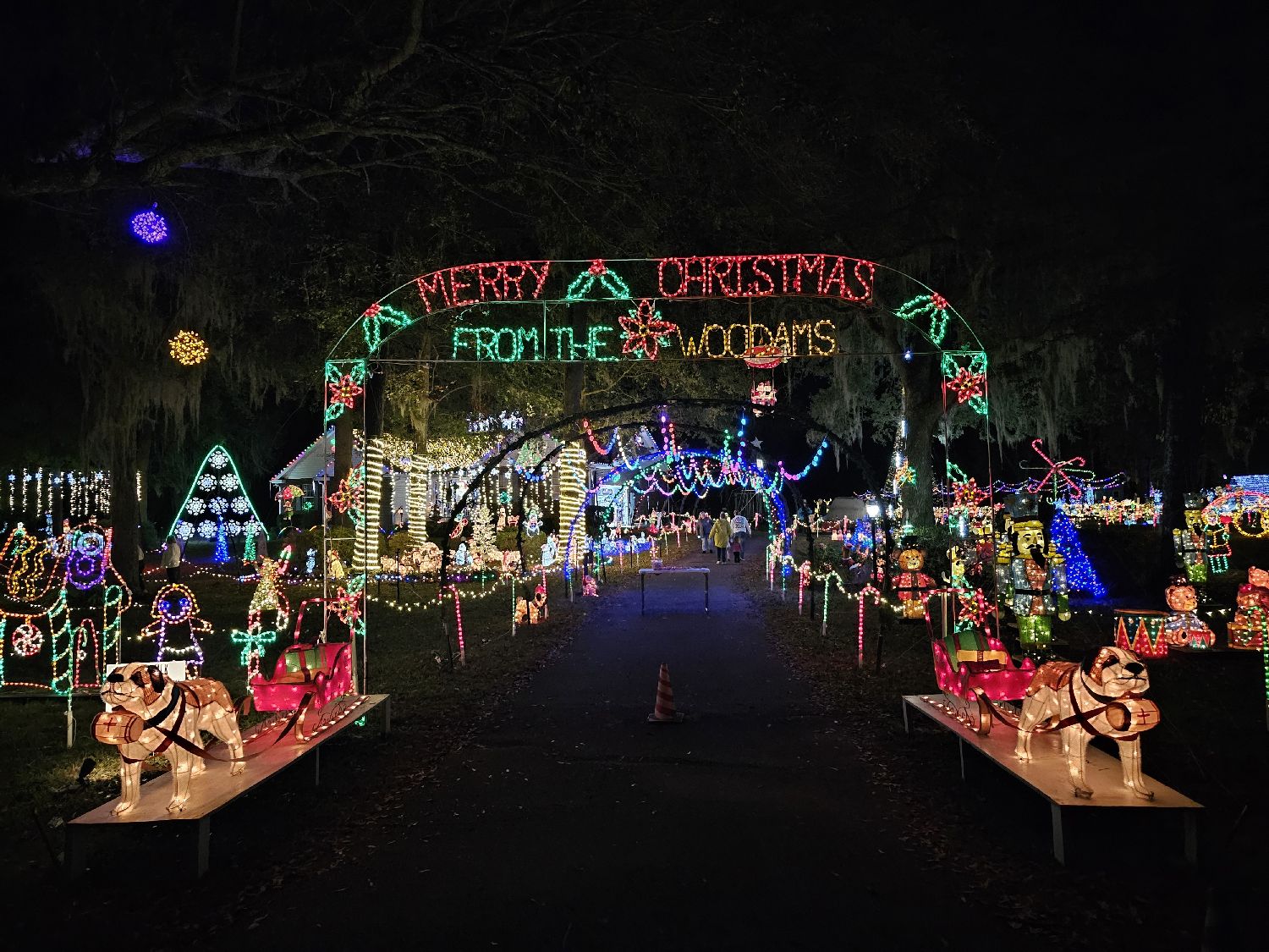Woodams Christmas Lights, Christmas lights in Bainbridge, GA (photo 2)