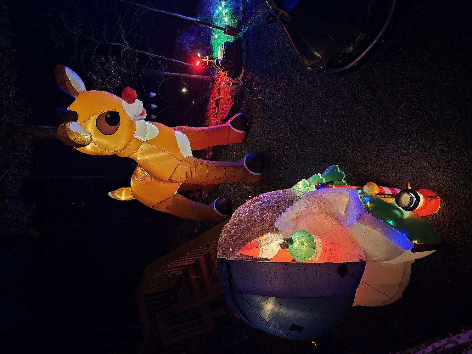 Masthope Lights, Christmas lights in Lackawaxen, PA (photo 5)