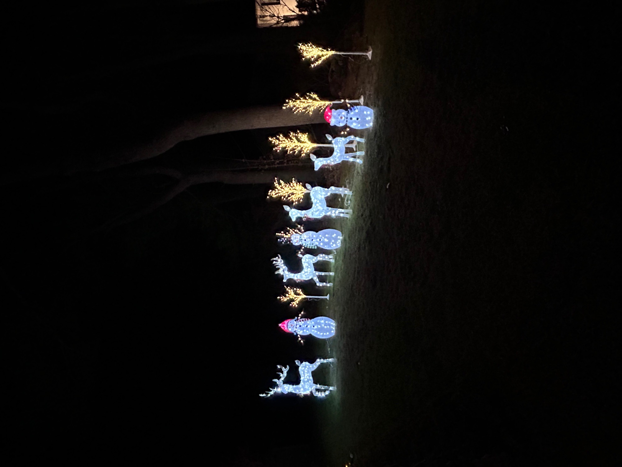 Knobel’s Kozy Christmas, Christmas lights in Greenville, RI (photo 3)