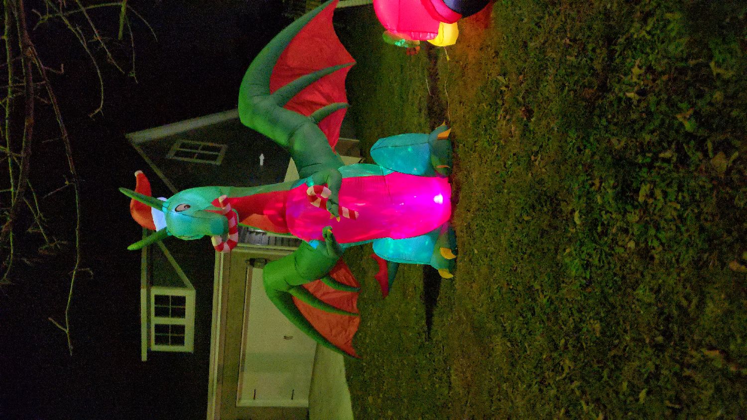 Newburgh Skeletons On Monroe Street, Christmas lights in Newburgh, IN (photo 1)