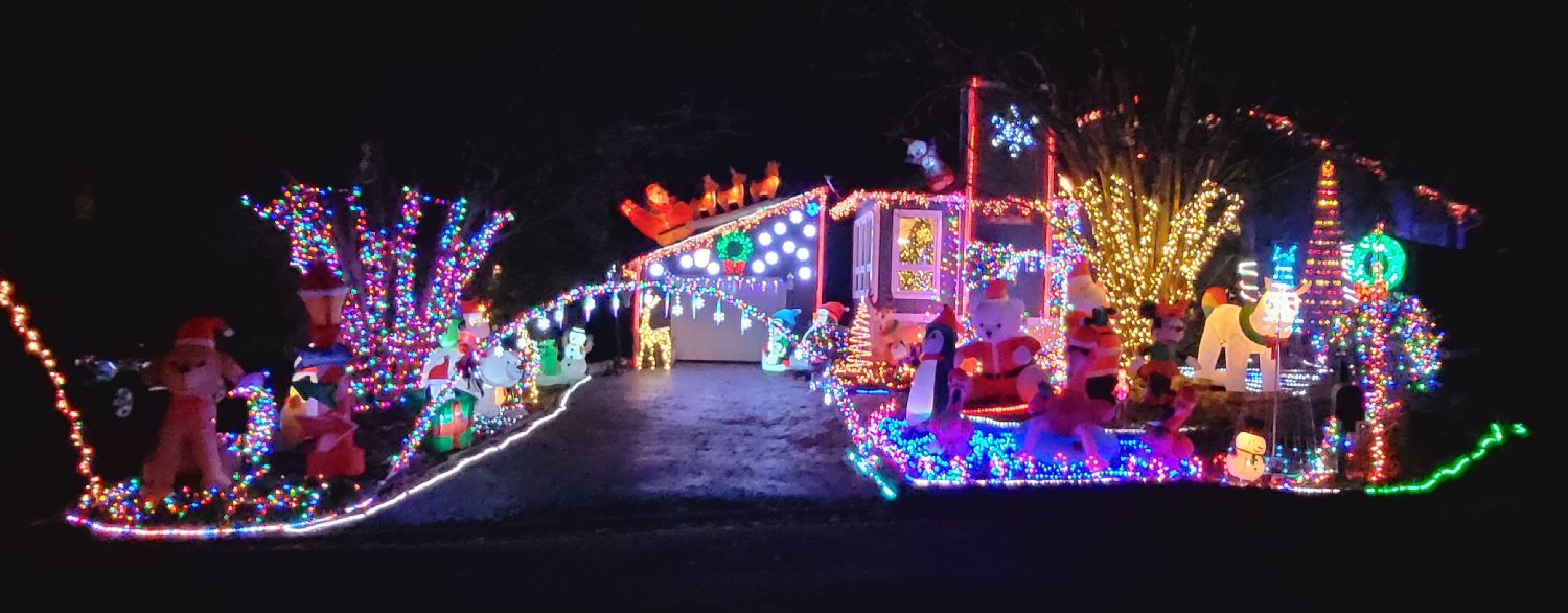 Terrifically Tacky, Christmas lights in Midlothian, VA (photo 1)