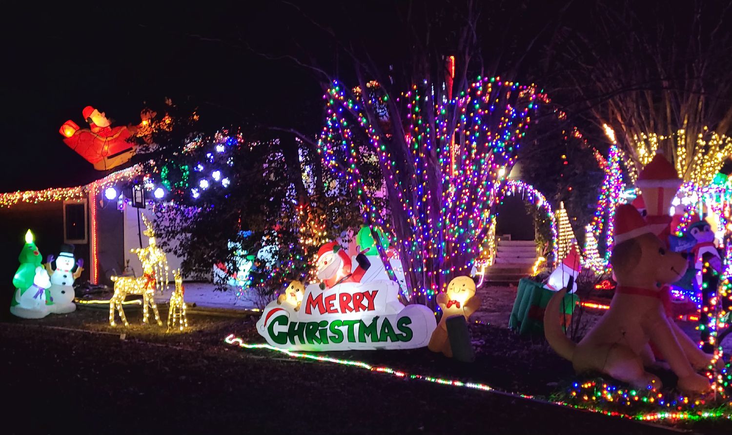 Terrifically Tacky, Christmas lights in Midlothian, VA (photo 2)