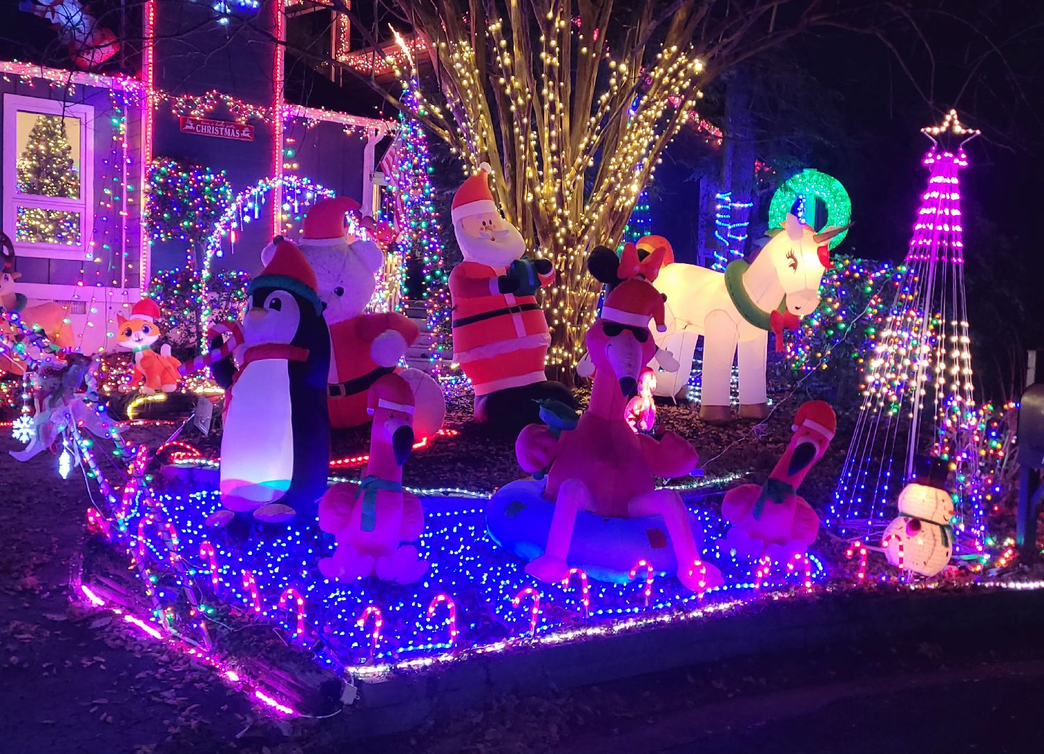 Terrifically Tacky, Christmas lights in Midlothian, VA (photo 3)