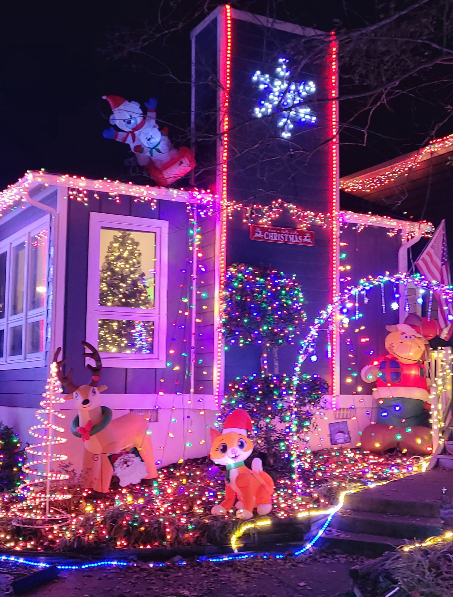 Terrifically Tacky, Christmas lights in Midlothian, VA (photo 4)