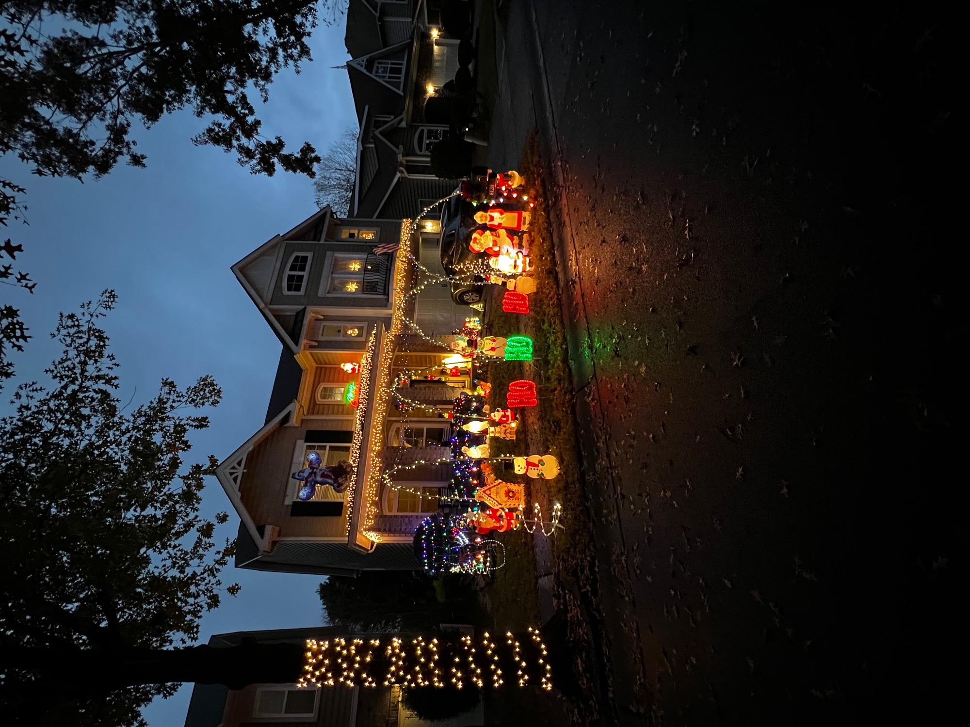 A Vintage Christmas, Christmas lights in Waxhaw, NC (photo 3)