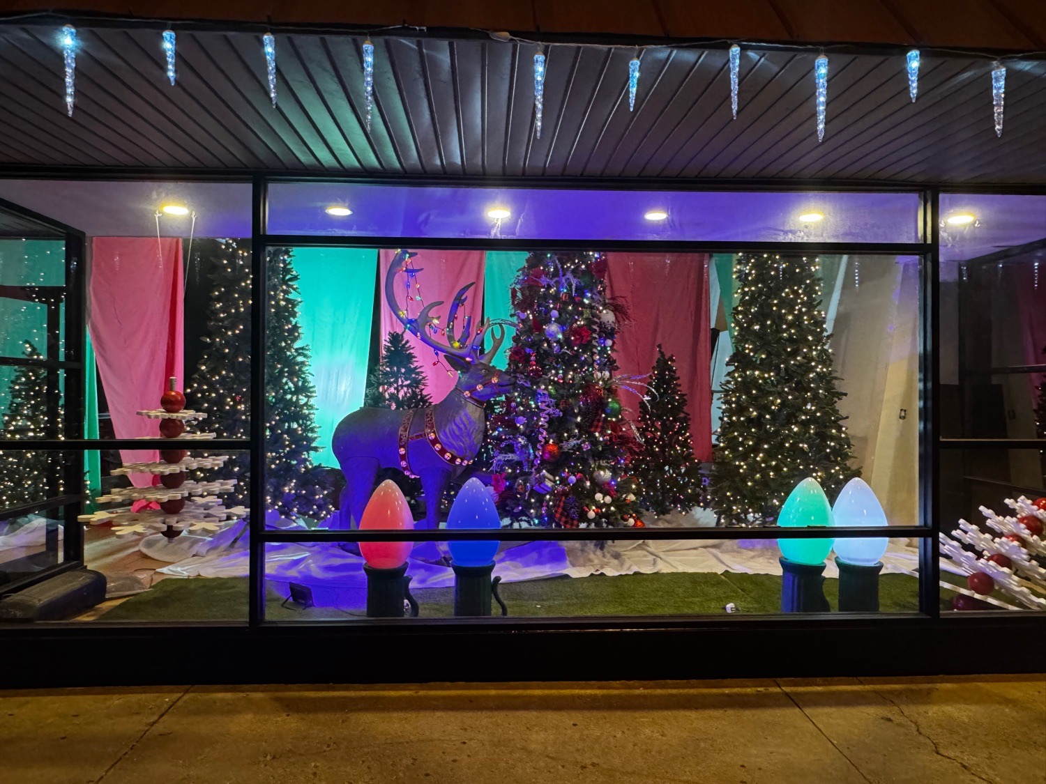 Christmas tree forest, Christmas lights in Cynthiana, KY (photo 1)