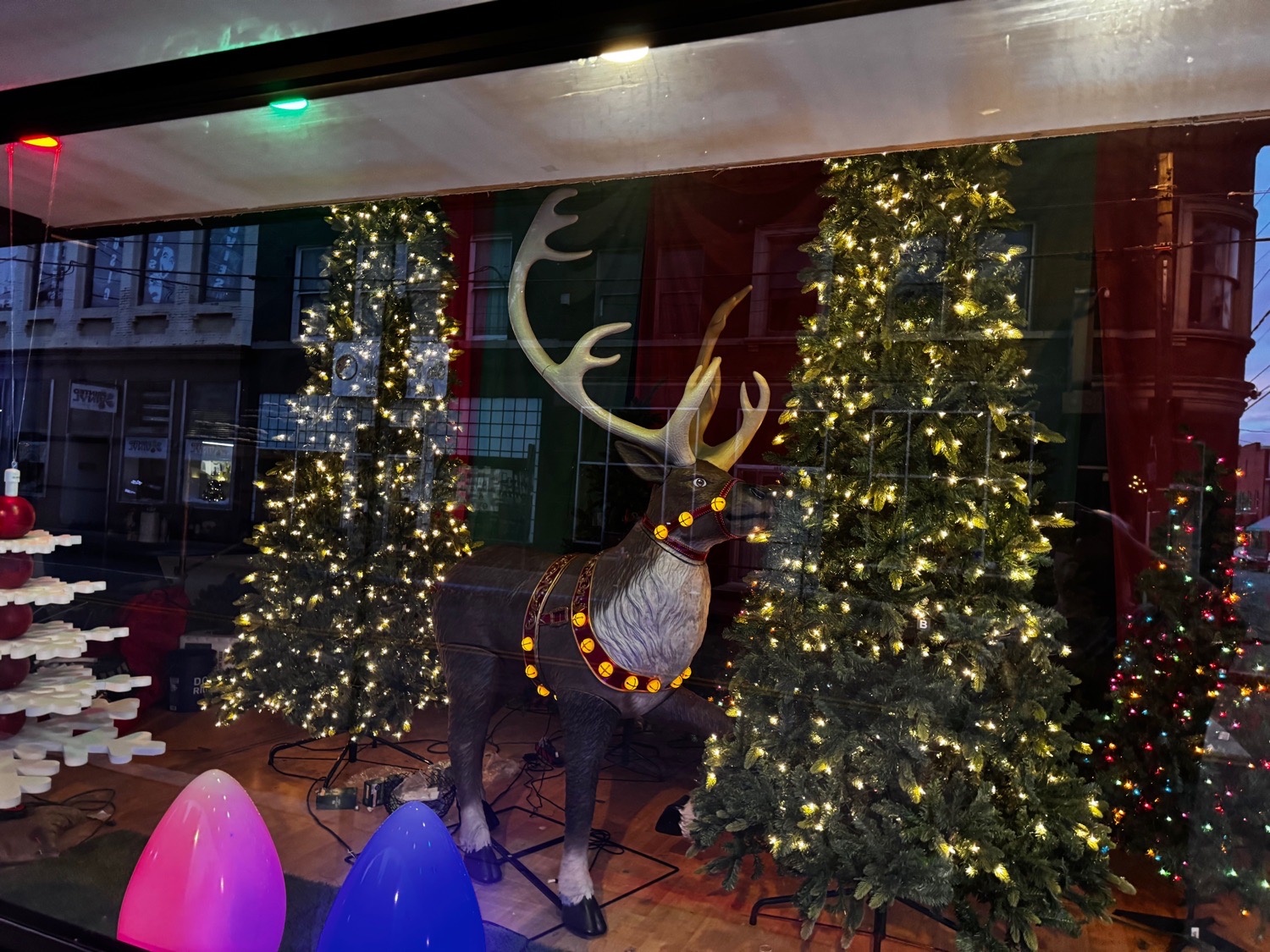 Christmas tree forest, Christmas lights in Cynthiana, KY (photo 2)