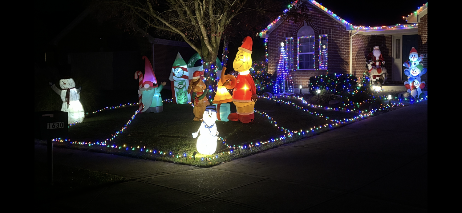 Lights On Battery, Christmas lights in Hebron, KY (photo 5)