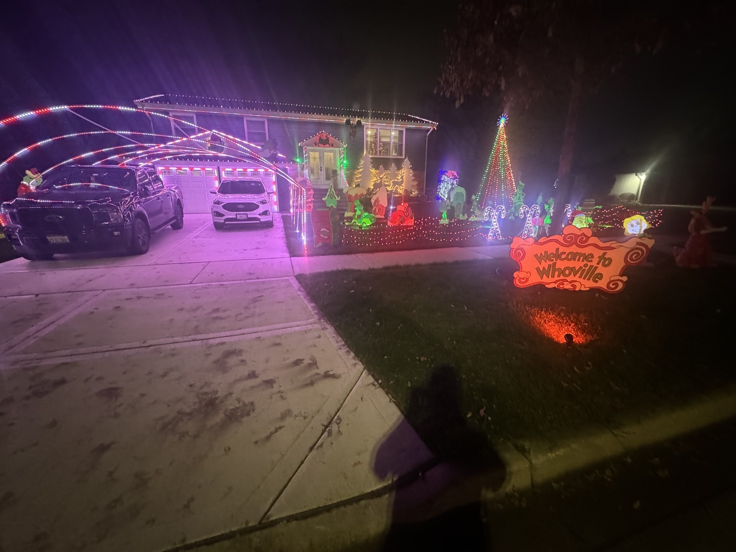 The Grinch is coming, Christmas lights in Bloomingdale, IL (photo 2)