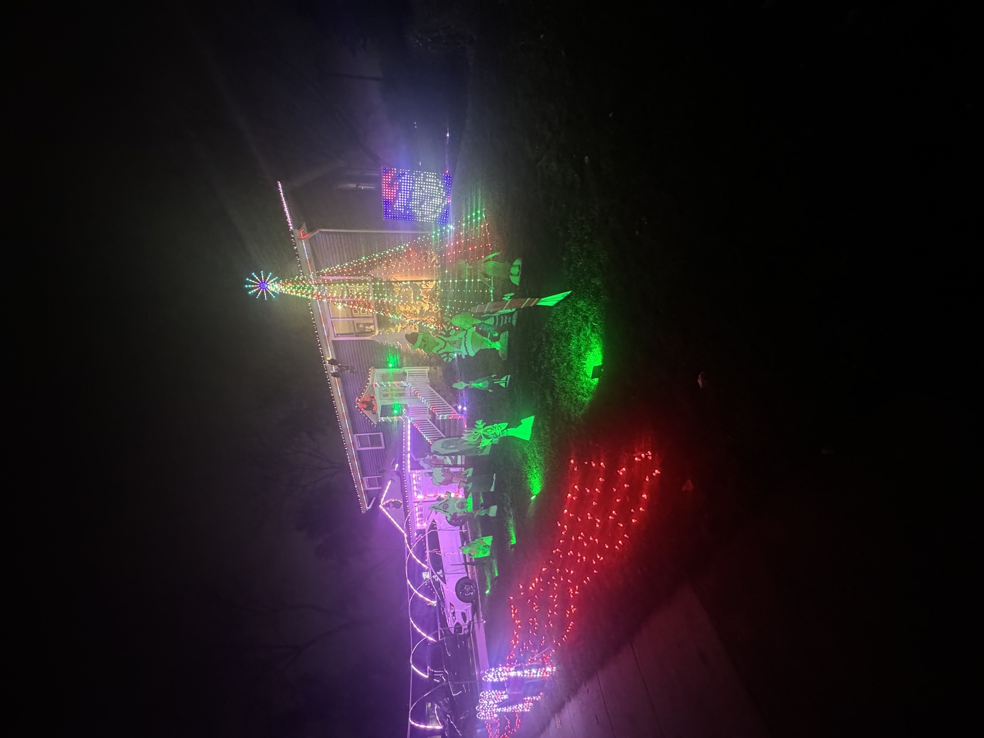 The Grinch is coming, Christmas lights in Bloomingdale, IL (photo 4)