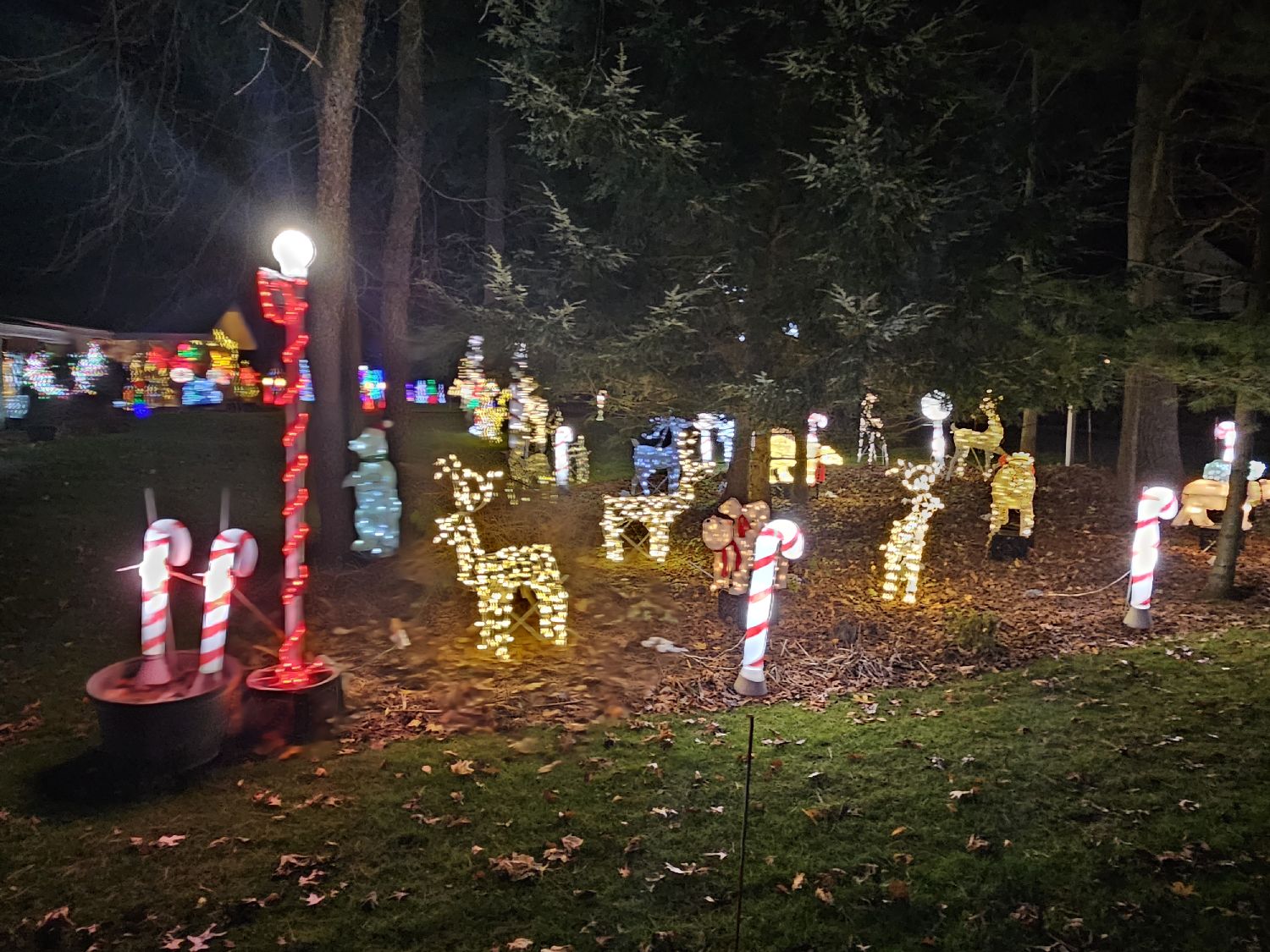 Christmas Lights on Heather road, Christmas lights in Eau Claire, WI (photo 3)
