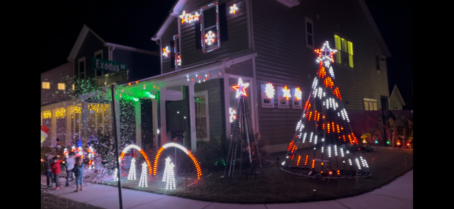 Spangenberg house, Christmas lights in Charleston, SC (photo 3)