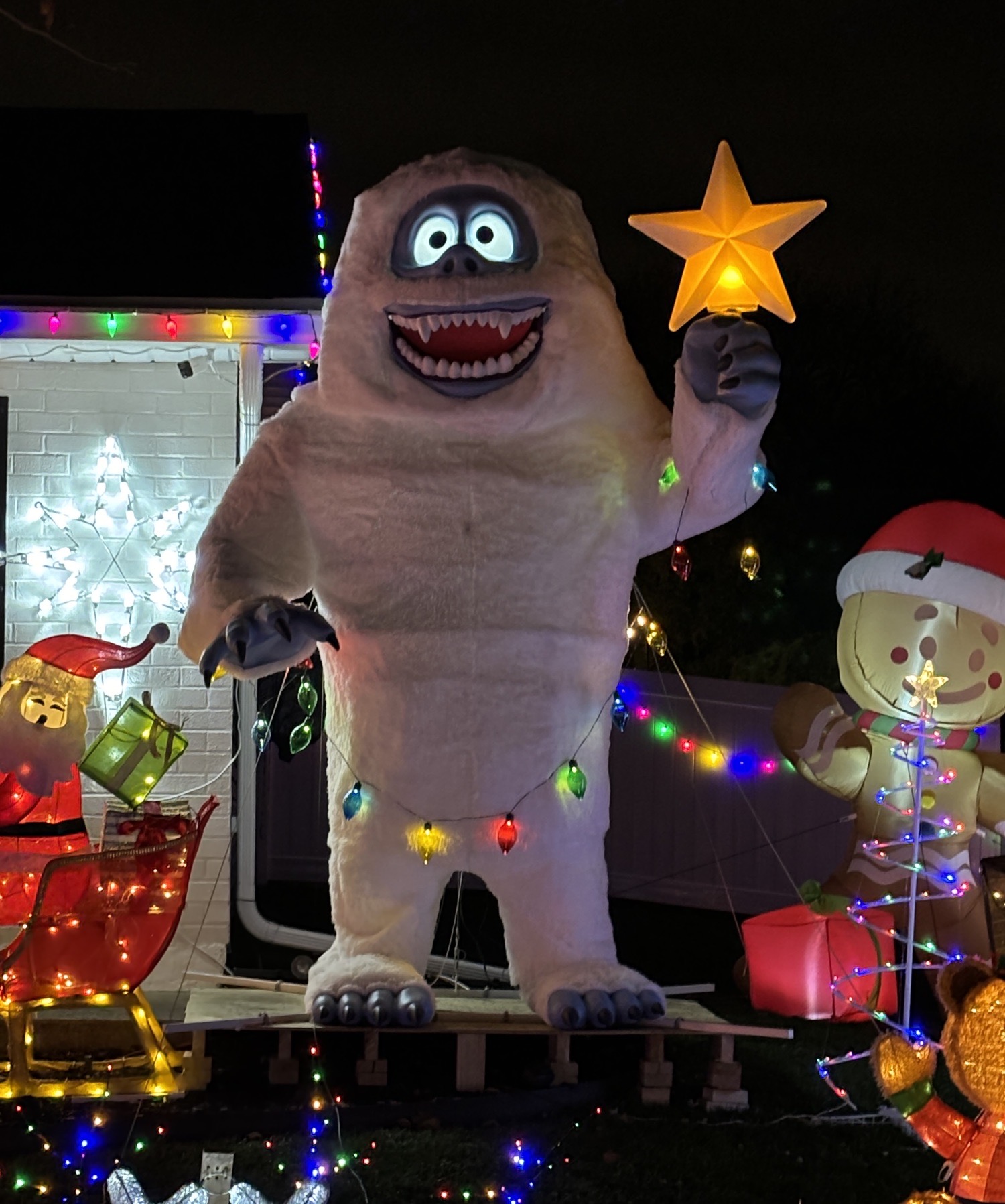 Griswolds on East, Christmas lights in Bethlehem, PA (photo 3)