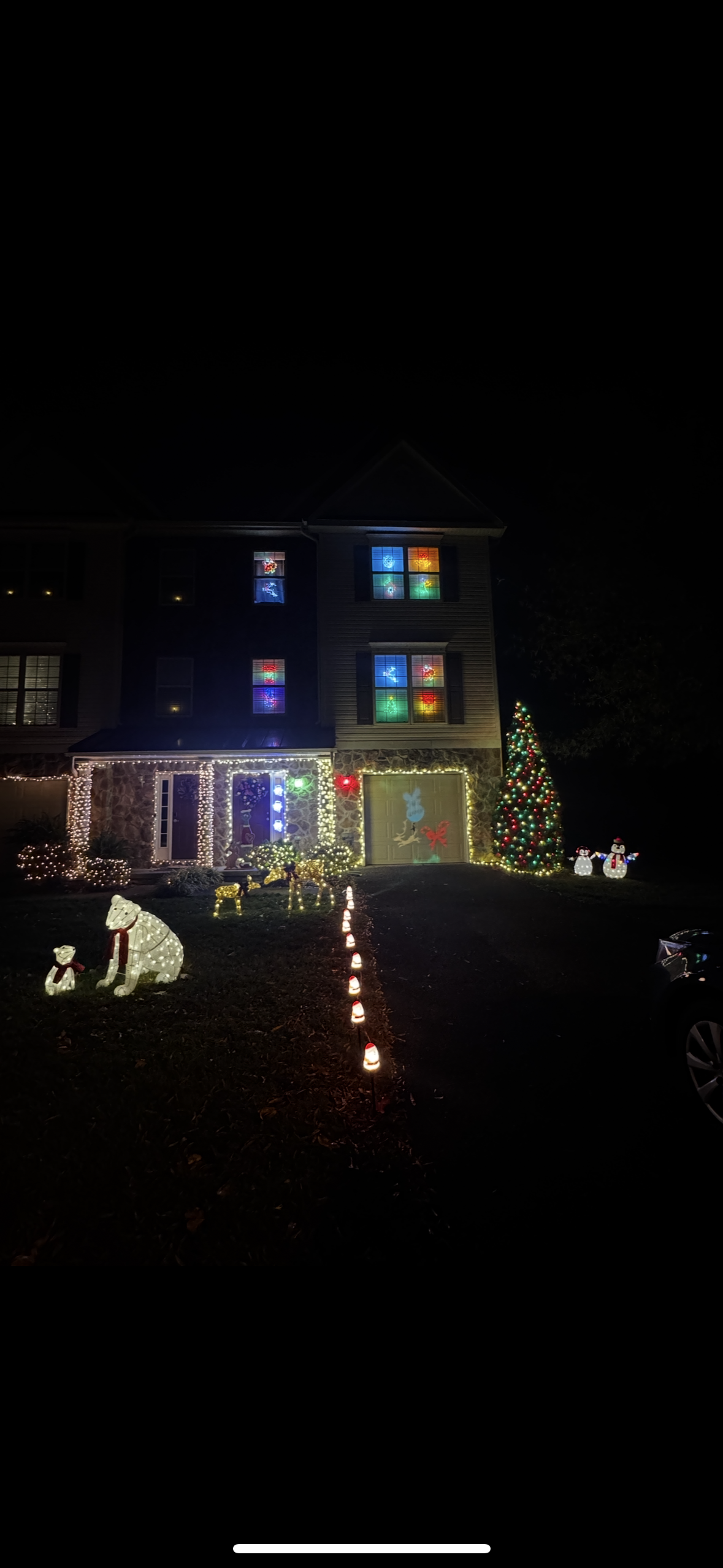 96 Blue Ridge Circle, Christmas lights in Newark, DE (photo 1)