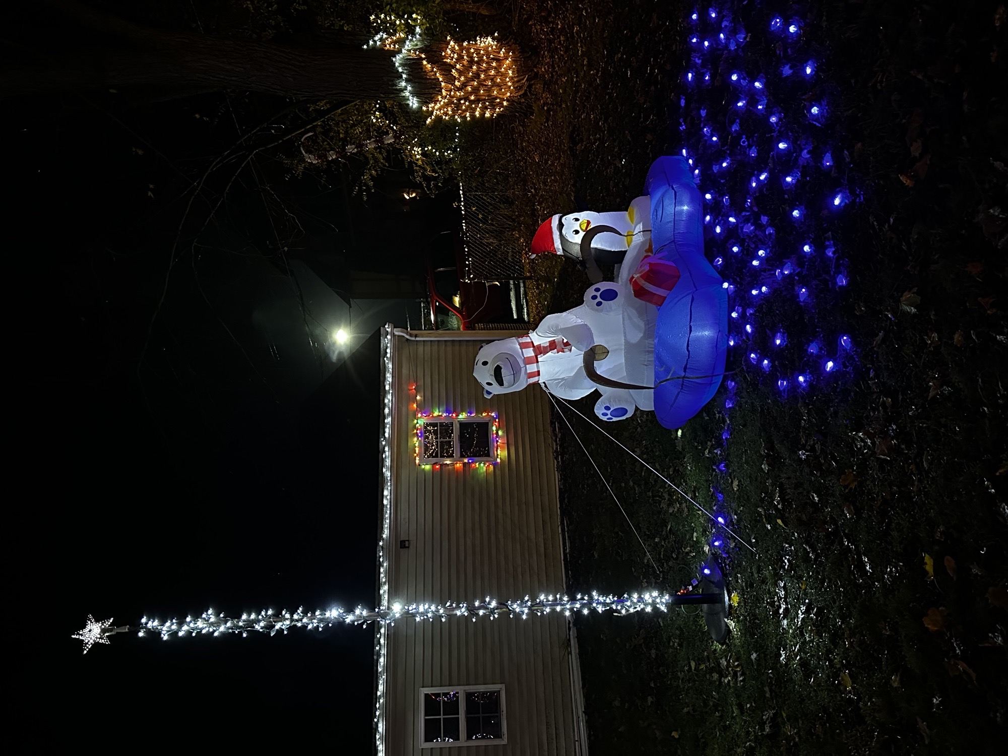 Griswold Street Christmas Wonderland, Christmas lights in Hillsdale, MI (photo 3)
