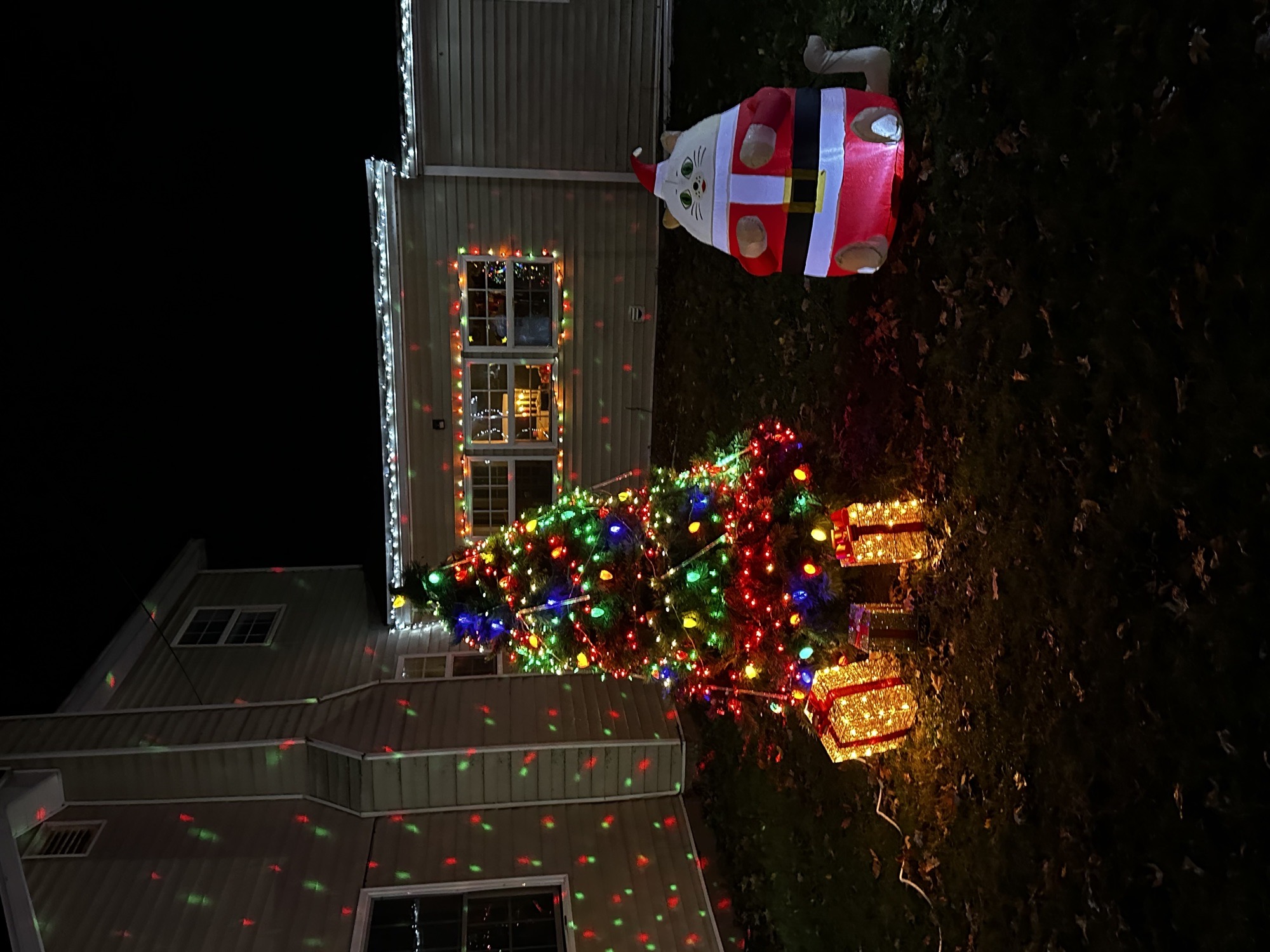 Griswold Street Christmas Wonderland, Christmas lights in Hillsdale, MI (photo 5)