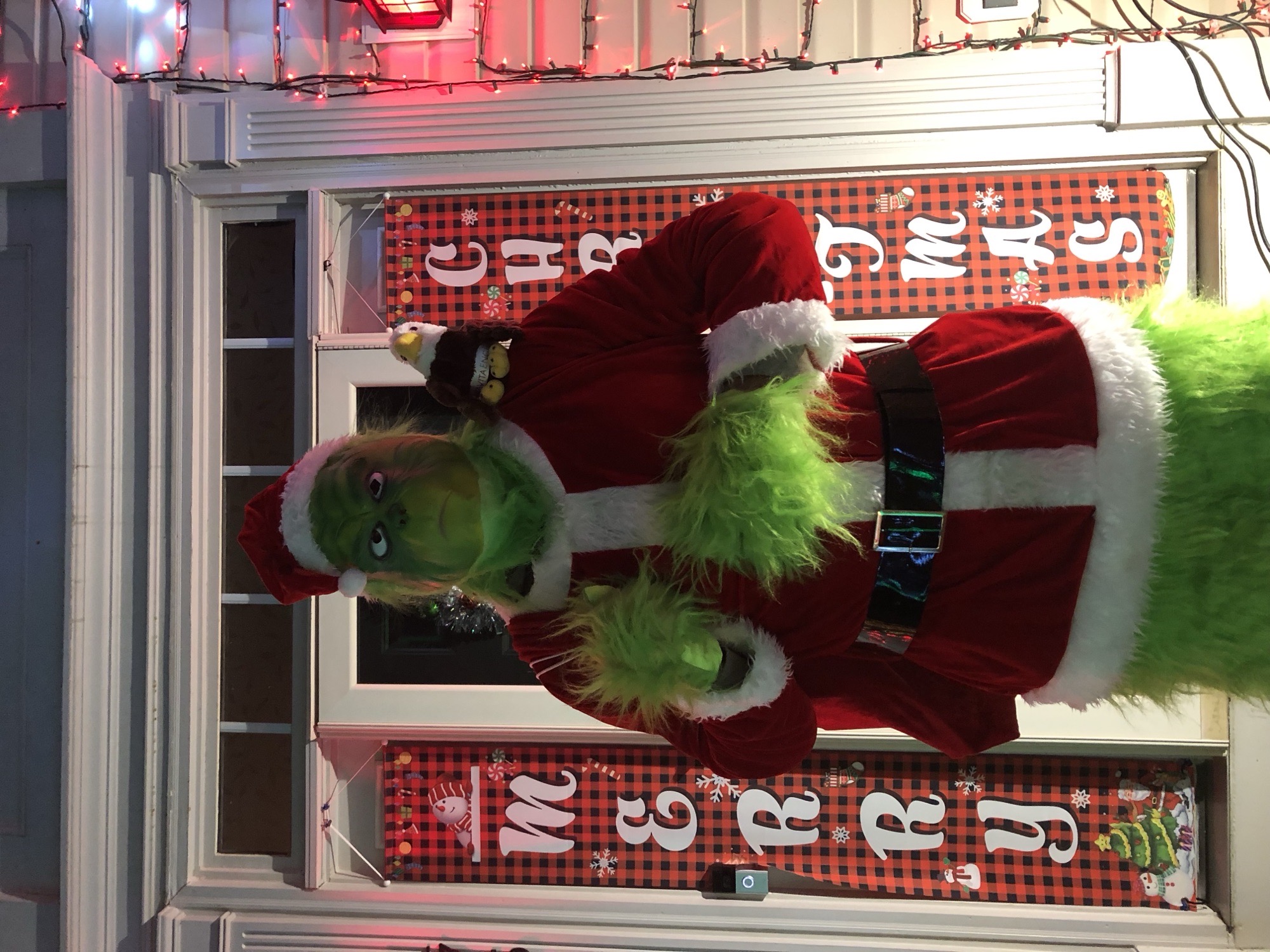 RVT Lights, Christmas lights in Sykesville, MD (photo 3)