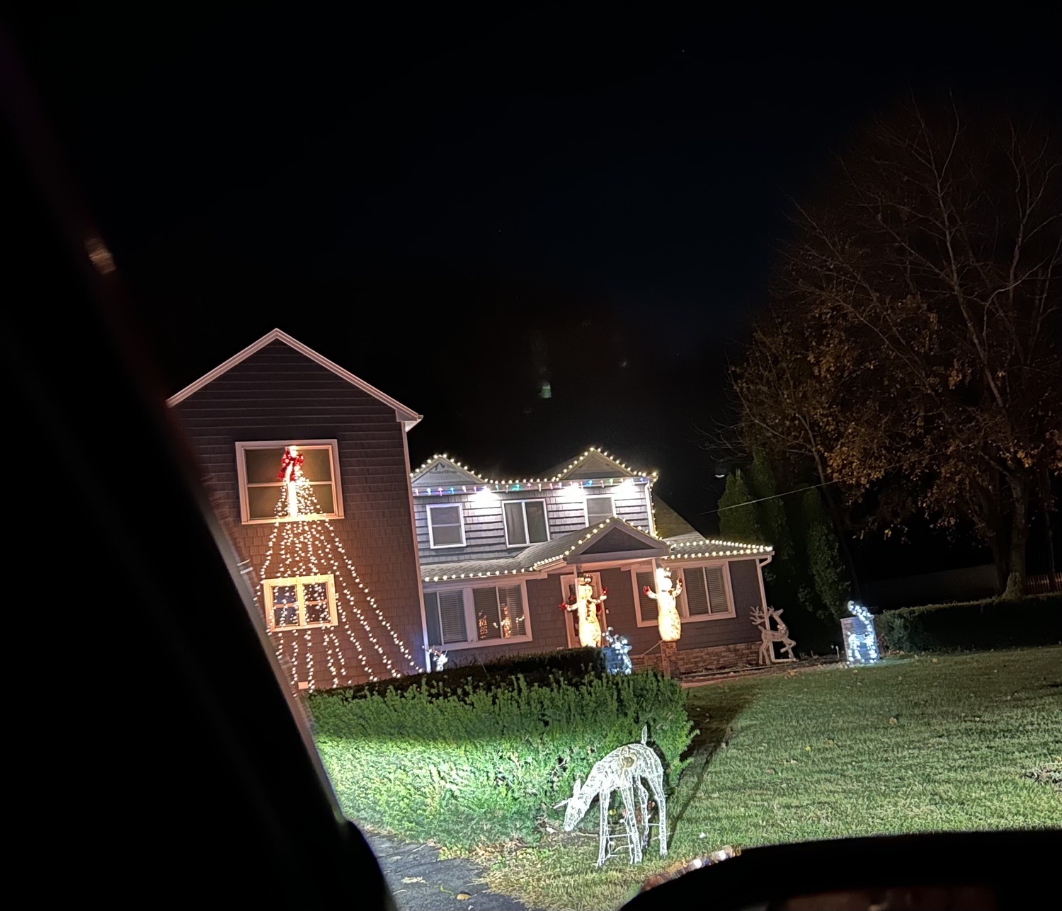 Light Up Rehoboth, Christmas lights in Rehoboth, MA (photo 1)
