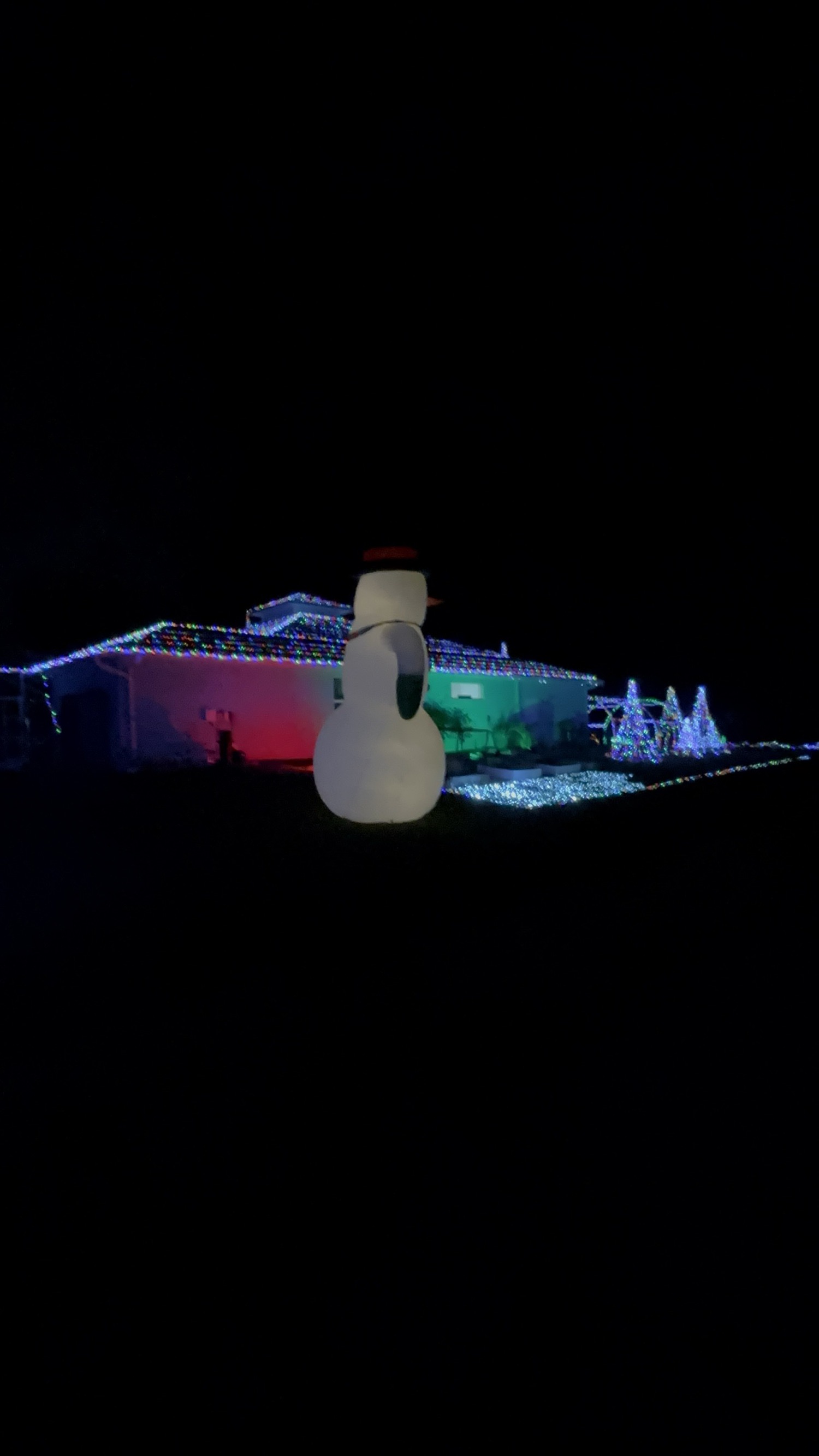 2025 Christmas Display, Christmas lights in Punta Gorda, FL (photo 3)