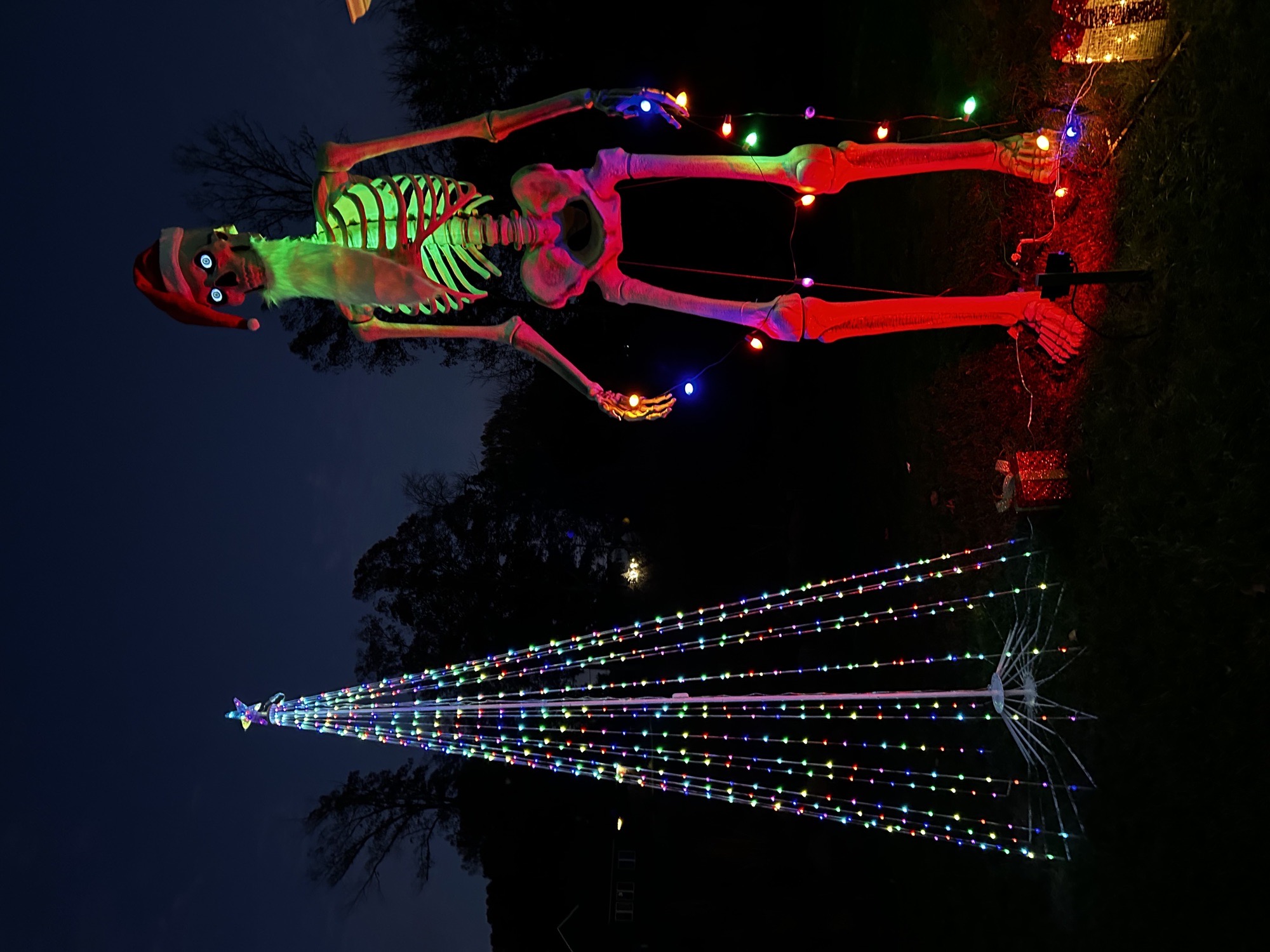 A China Grove Christmas, Christmas lights in China Grove, NC (photo 3)
