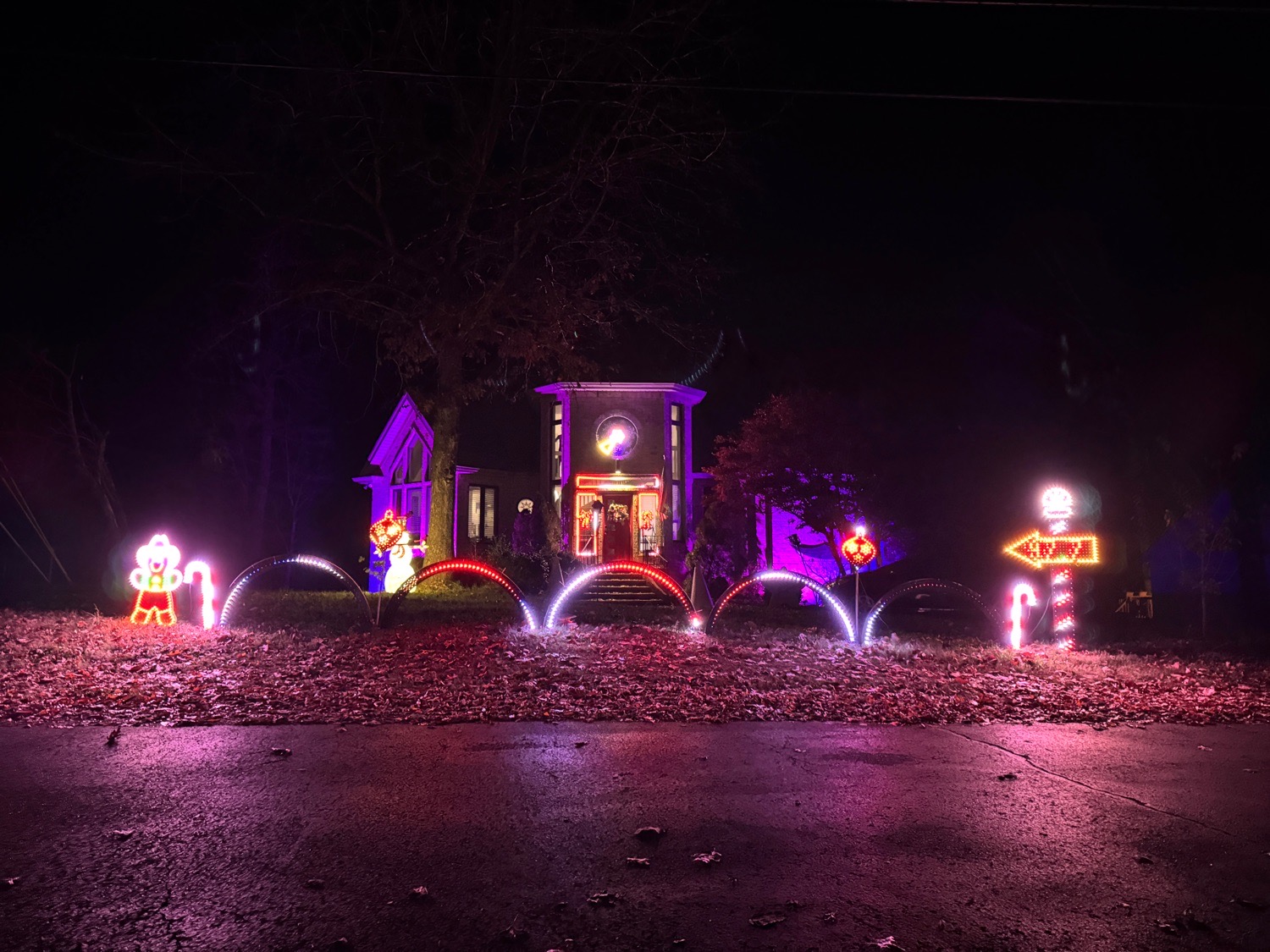 Tanglewood, Christmas lights in Pegram, TN (photo 1)