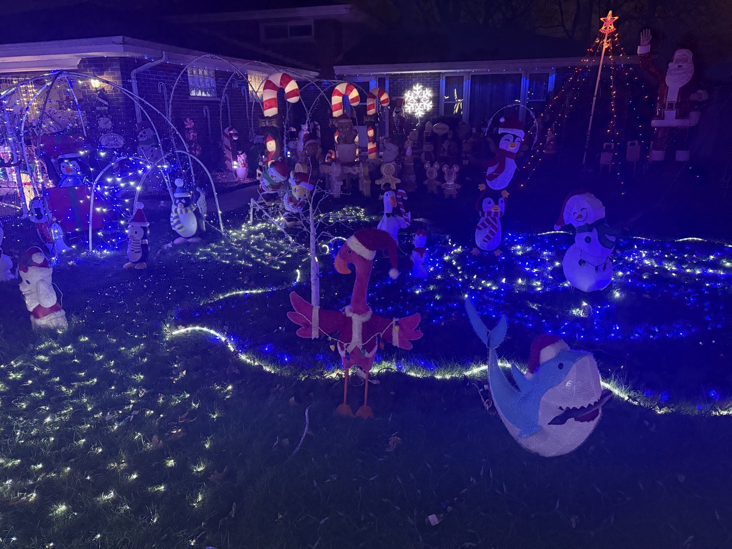 House on Bock, Christmas lights in Lansing, IL (photo 3)
