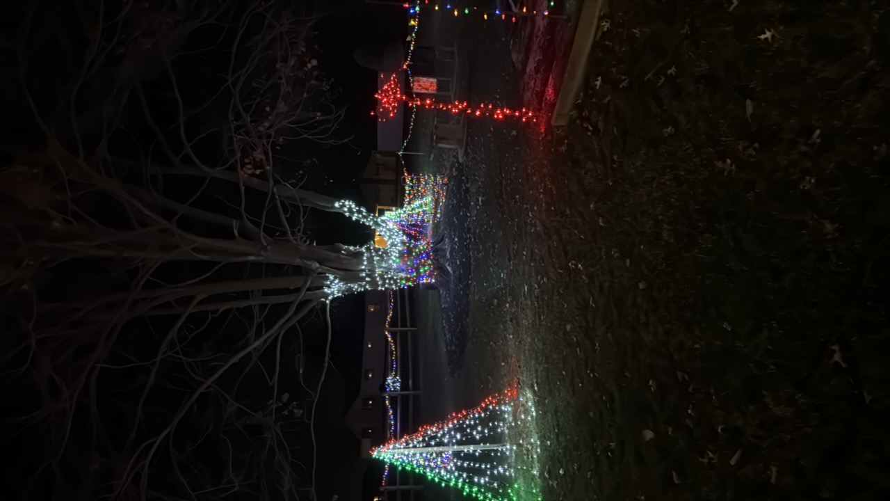 Creston Archway With Mistletoe, Christmas lights in Creston, OH (photo 2)