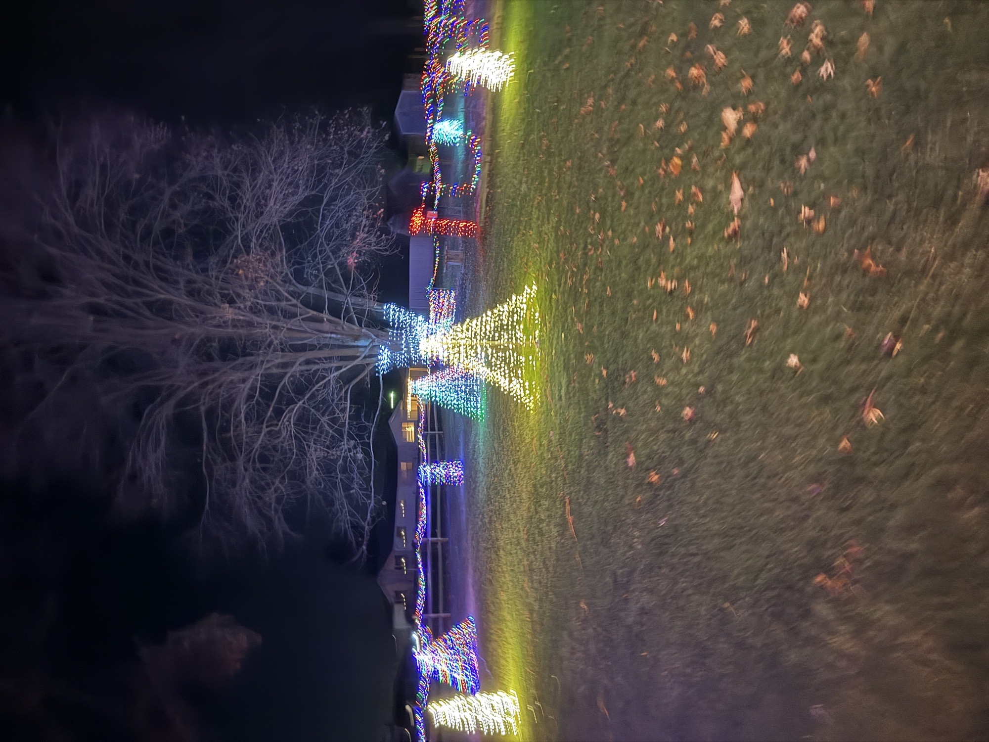 Creston Archway With Mistletoe, Christmas lights in Creston, OH (photo 4)