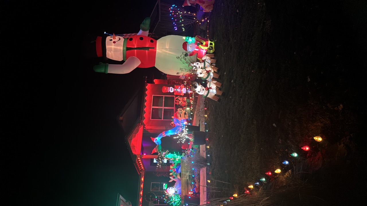 924 Crestheaven Dr, Christmas lights in Fruita, CO (photo 1)