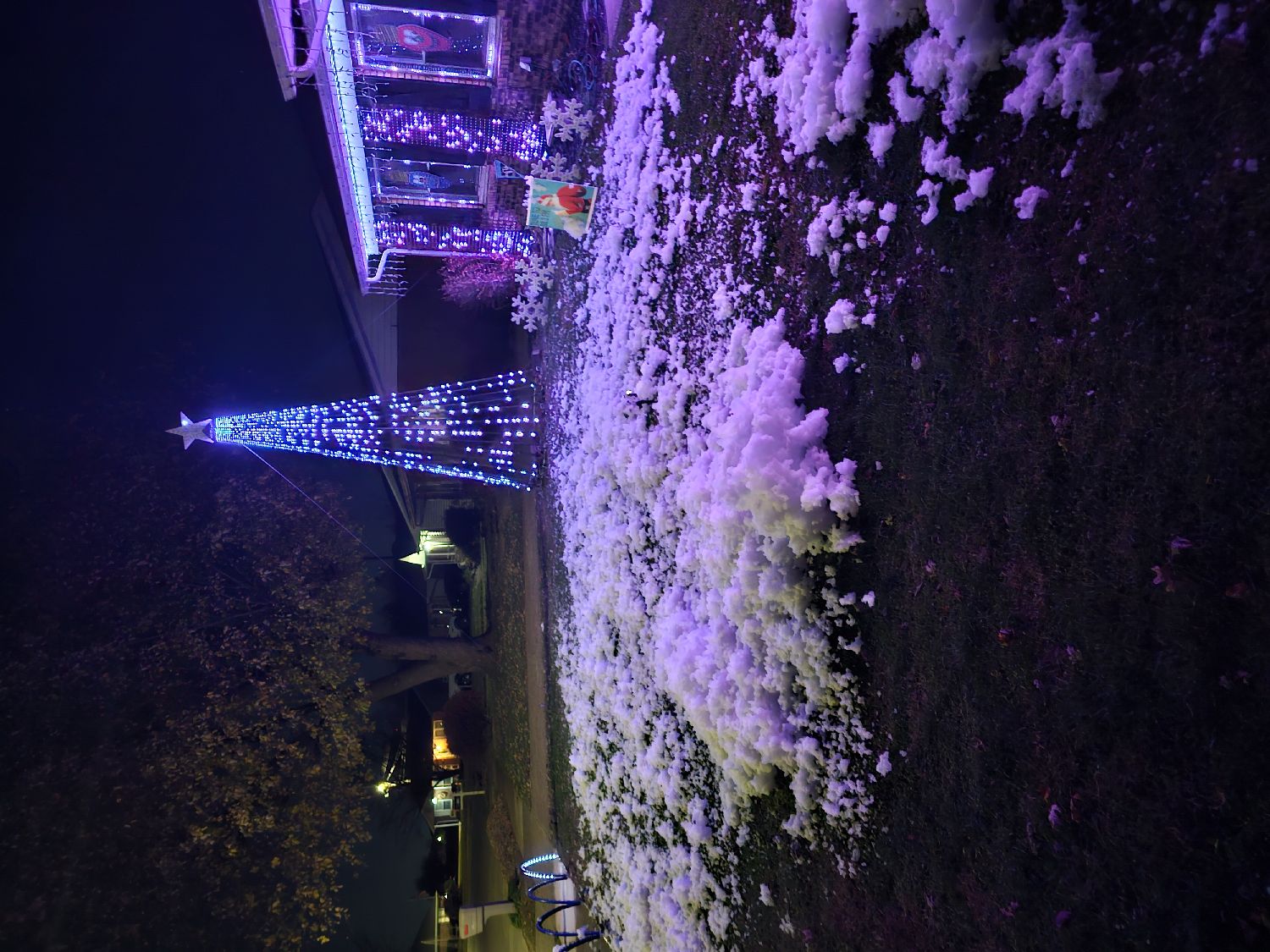 The Kennedy's Christmas light show, Christmas lights in Owensboro, KY (photo 2)