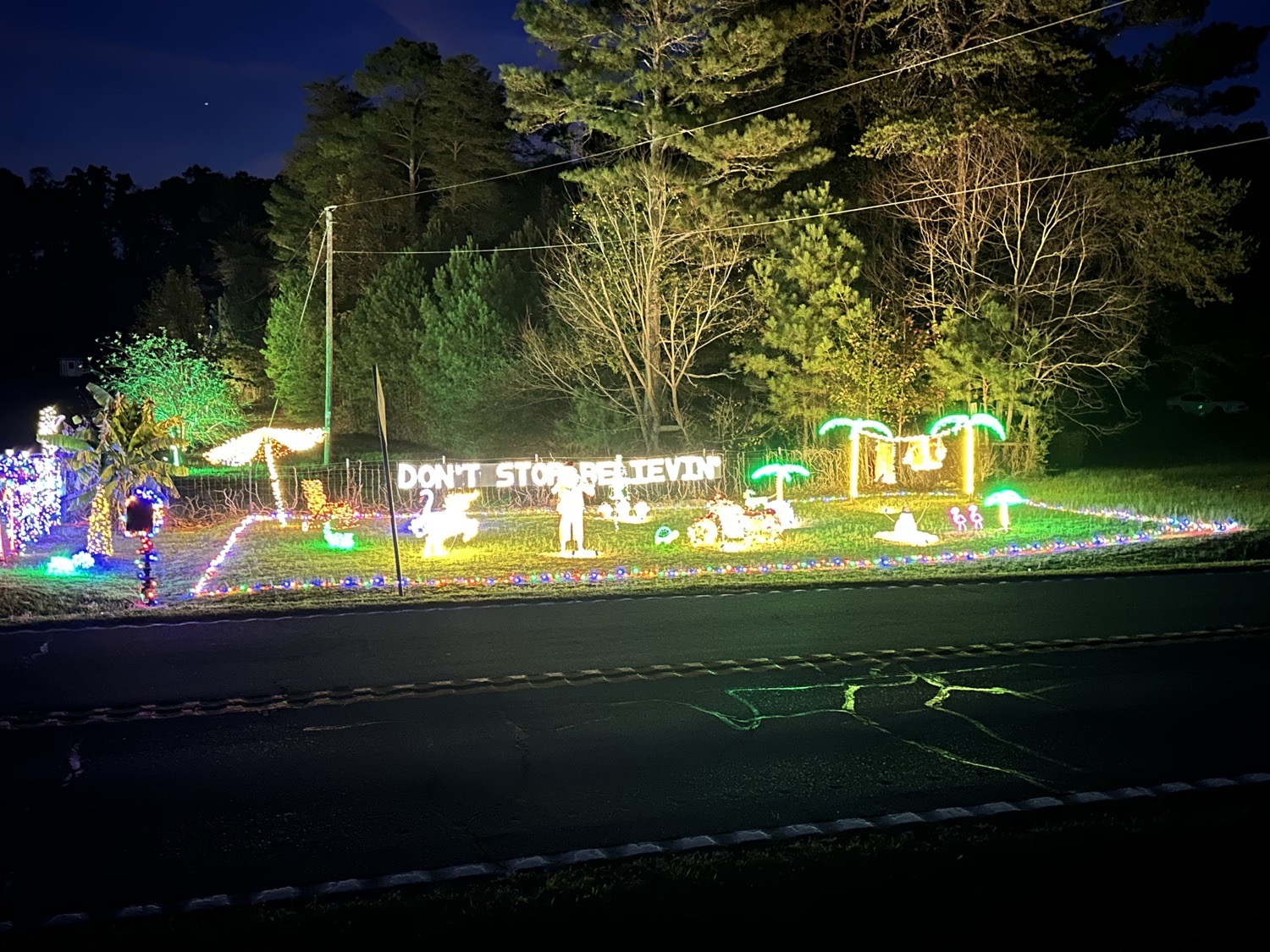 Christmas In Rydal, Christmas lights in Rydal, GA (photo 2)