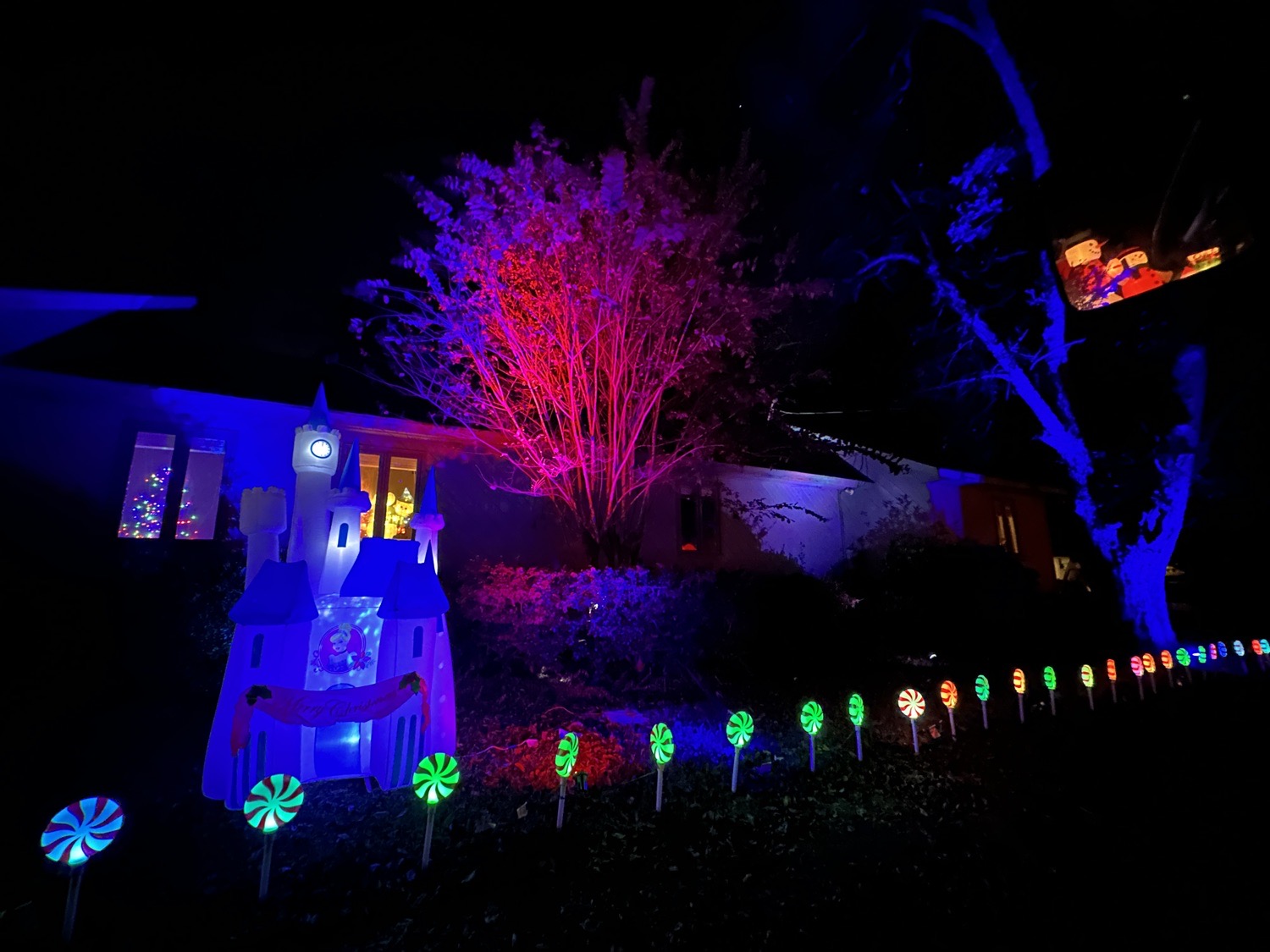 Christmas Wonderland, Christmas lights in Unadilla, GA (photo 2)