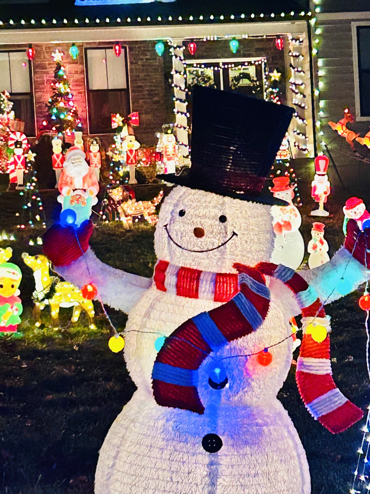 The Veneziale Manor Christmas, Christmas lights in Coatesville, PA (photo 4)