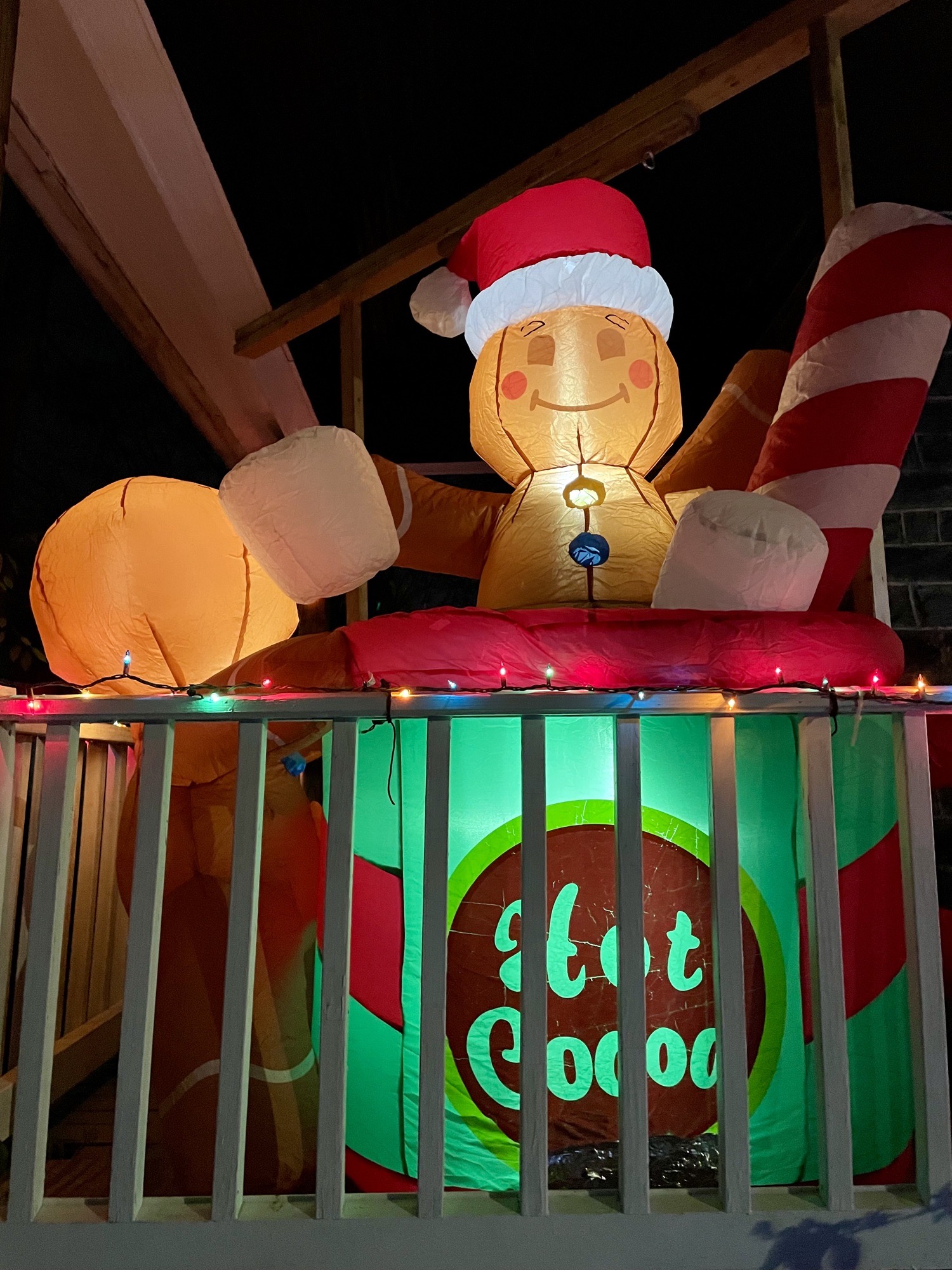 Nowak Christmas extravaganza!, Christmas lights in Upper Darby, PA (photo 2)