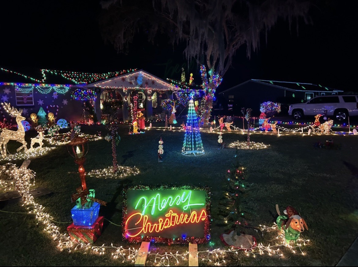 Holy Grinchmas, Christmas lights in Fruitland Park, FL (photo 1)